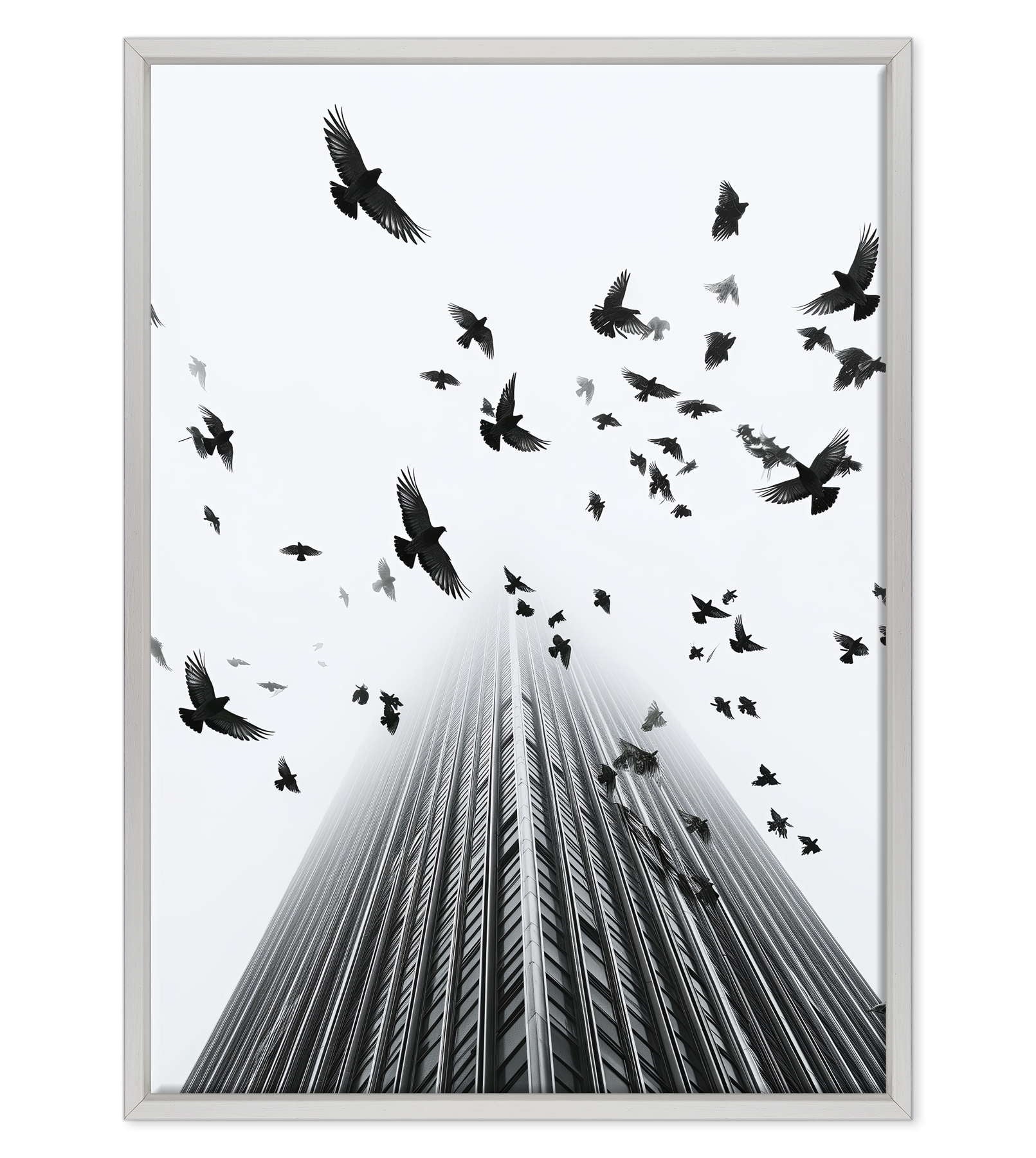Fotografia in Bianco e Nero - In Fuga da Wall Street