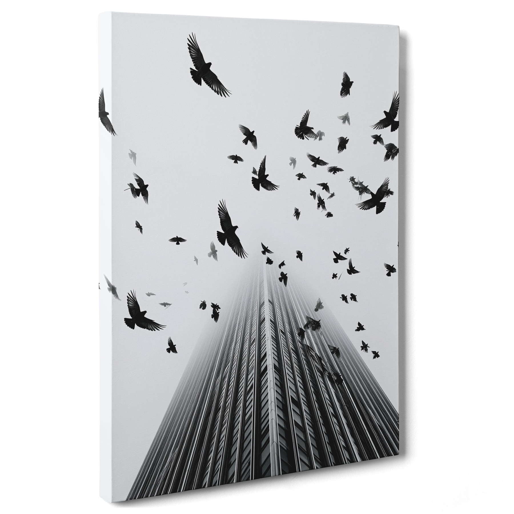Fotografia in Bianco e Nero - In Fuga da Wall Street