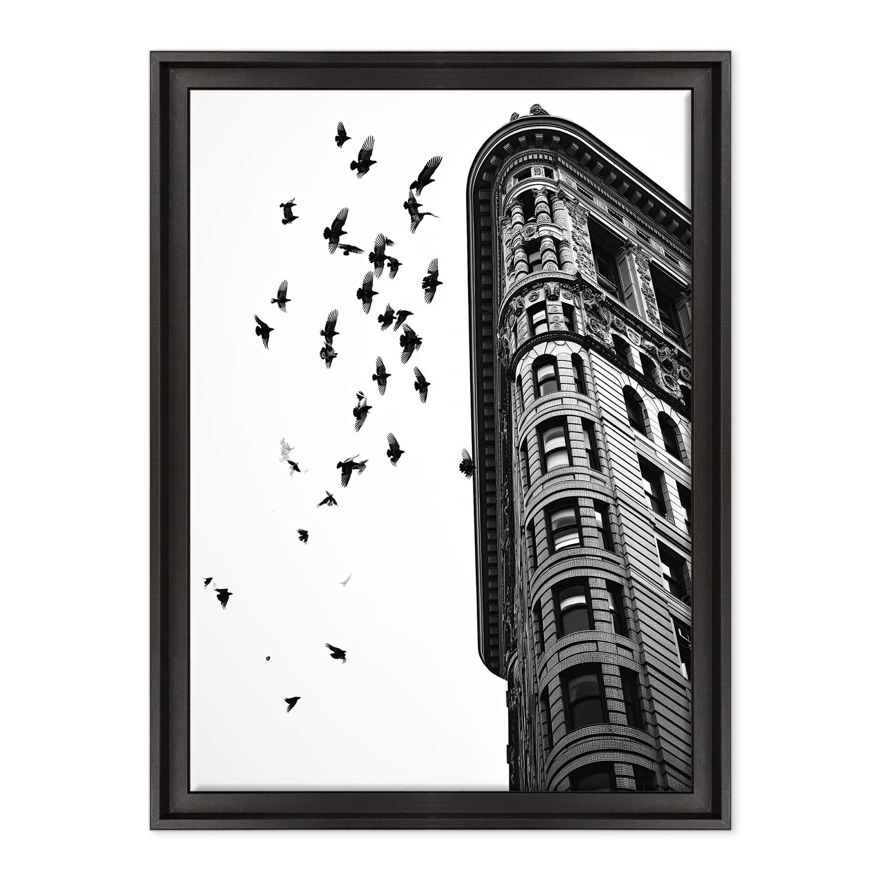 Fotografia in Bianco e Nero - Melodia di Pietra e Piuma