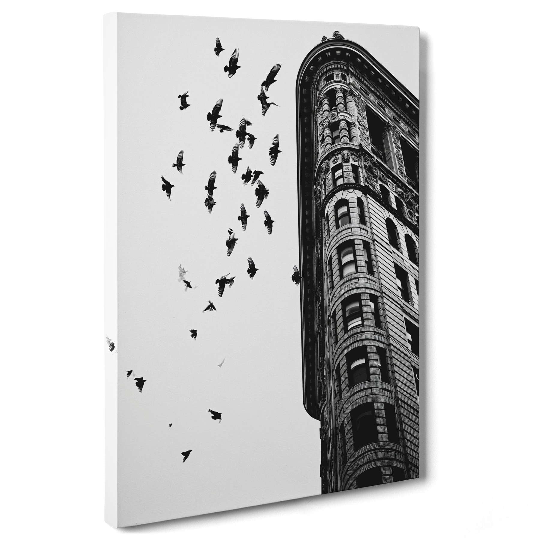 Fotografia in Bianco e Nero - Melodia di Pietra e Piuma