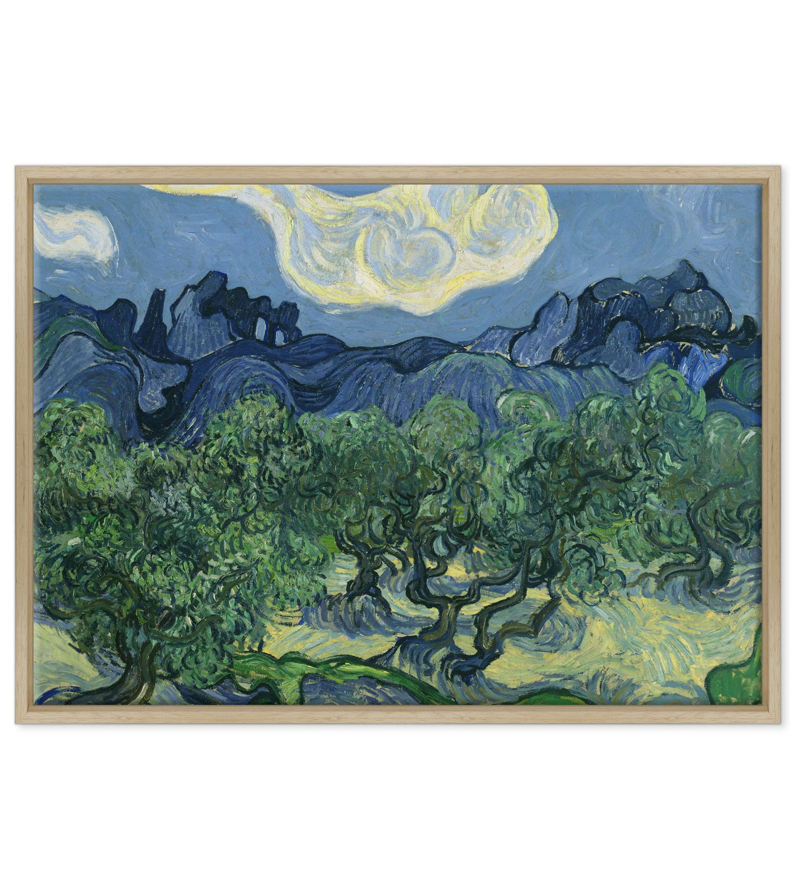 Van Gogh - Ulivi con le Alpilles sullo sfondo
