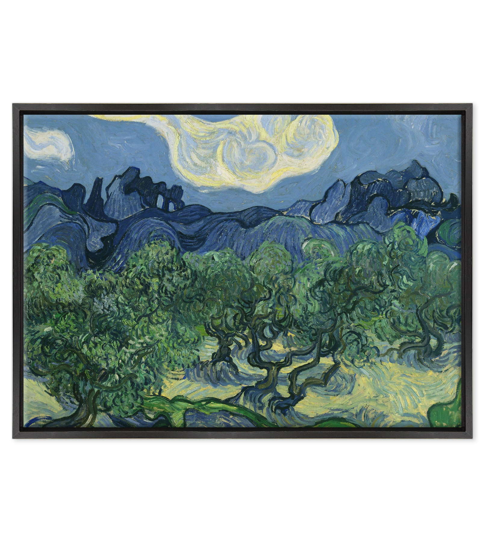 Van Gogh - Ulivi con le Alpilles sullo sfondo