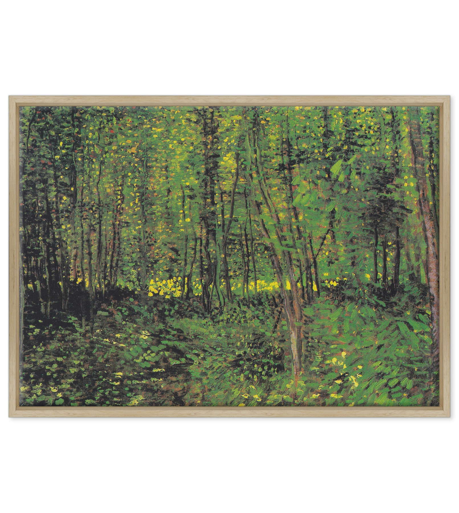 Van Gogh - Alberi e sottobosco