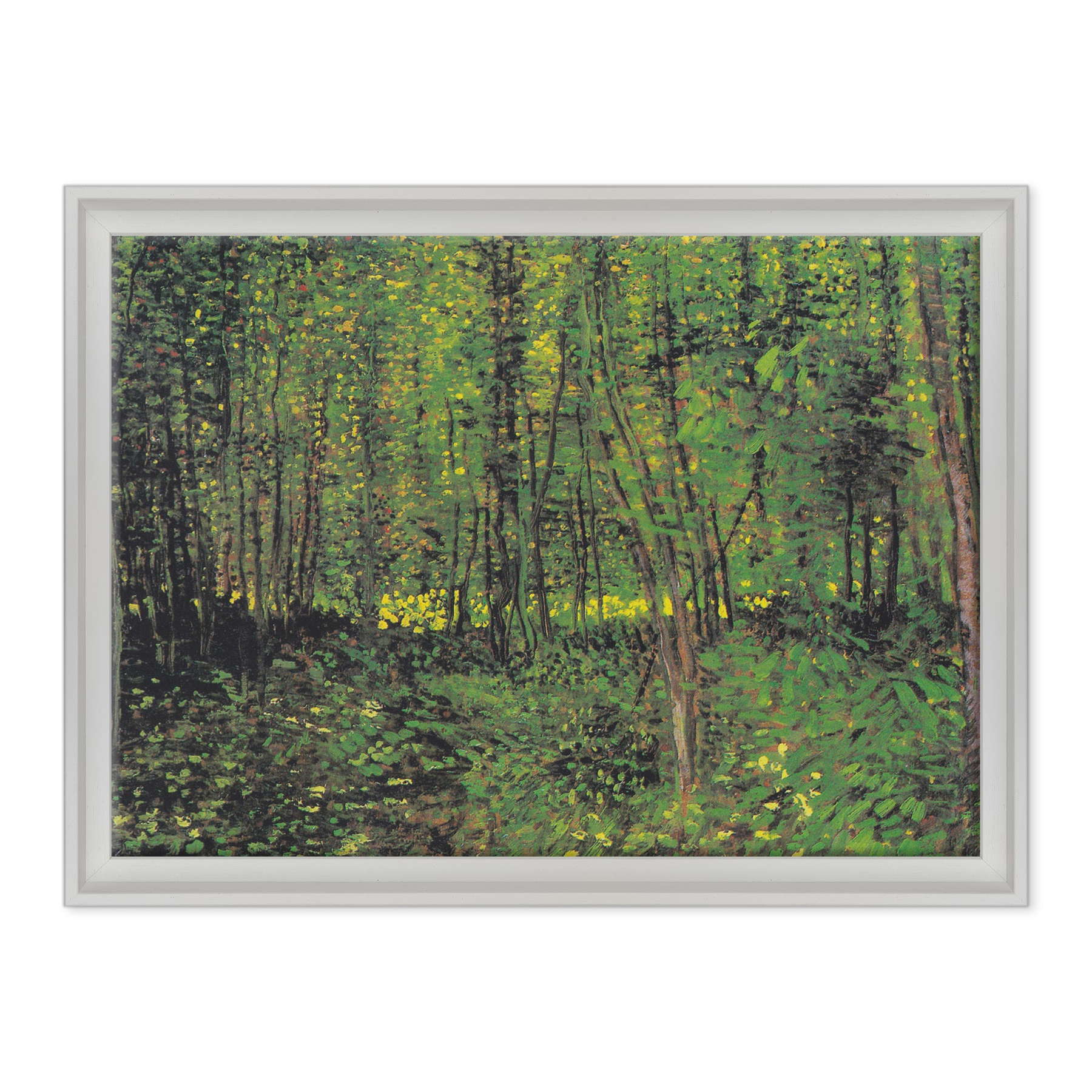 Van Gogh - Alberi e sottobosco
