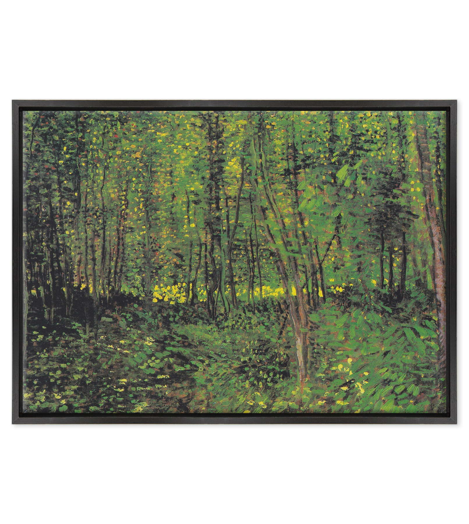 Van Gogh - Alberi e sottobosco