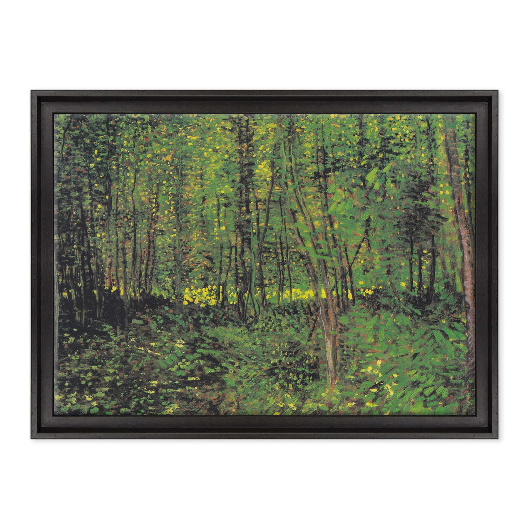 Van Gogh - Alberi e sottobosco