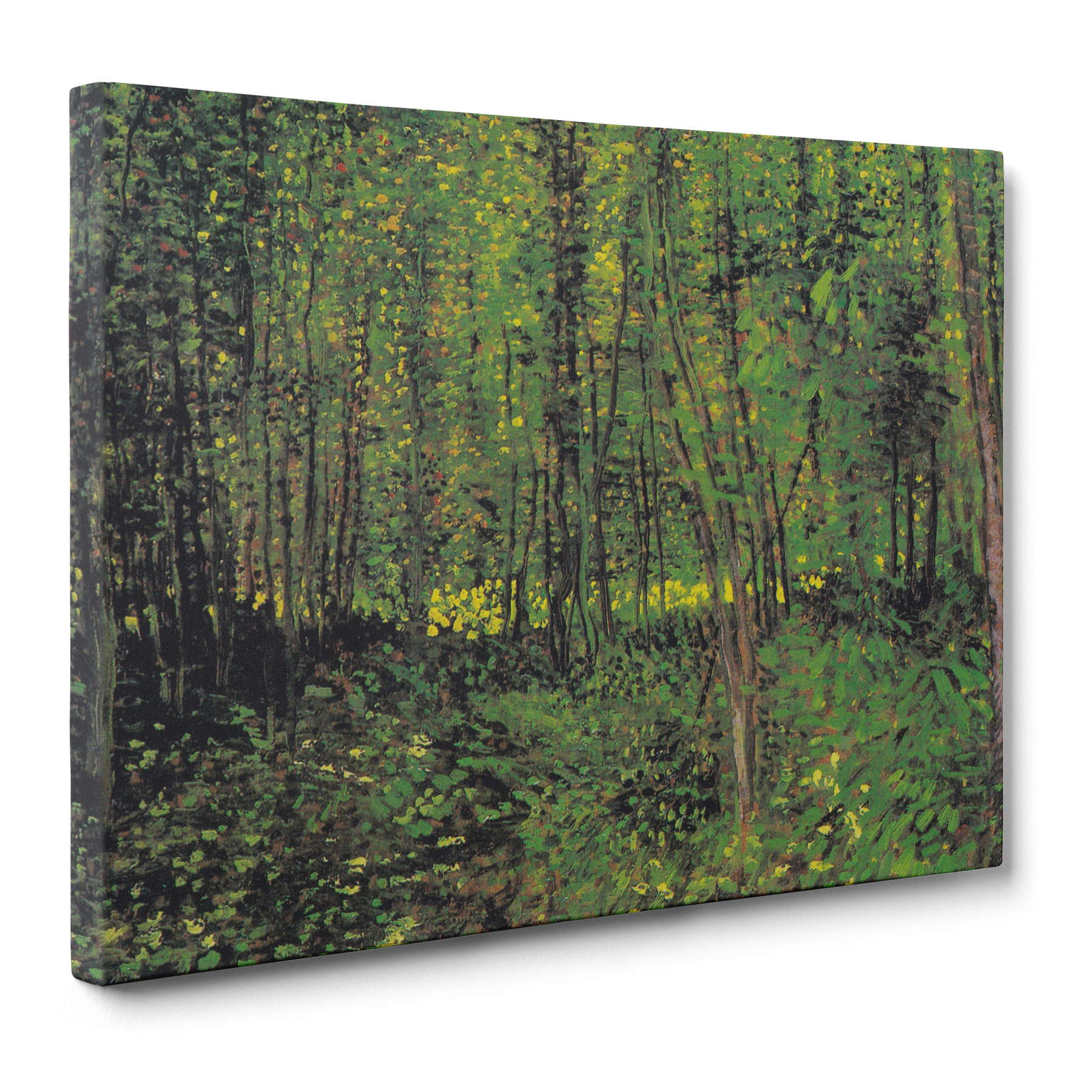 Van Gogh - Alberi e sottobosco