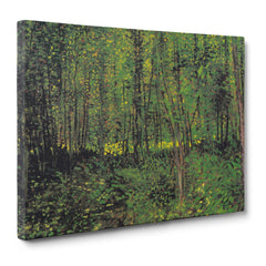 Van Gogh - Alberi e sottobosco