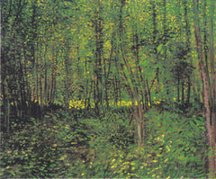 Van Gogh - Alberi e sottobosco