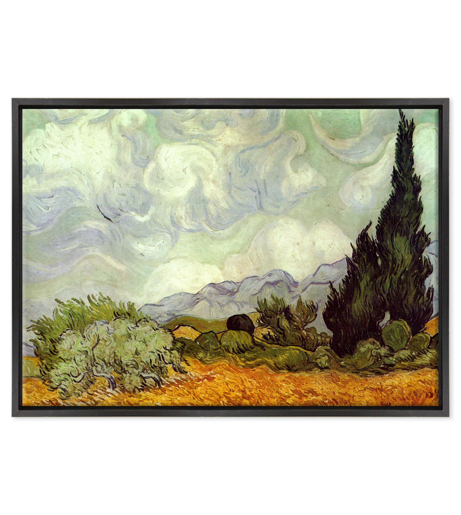 Van Gogh - Cipressi