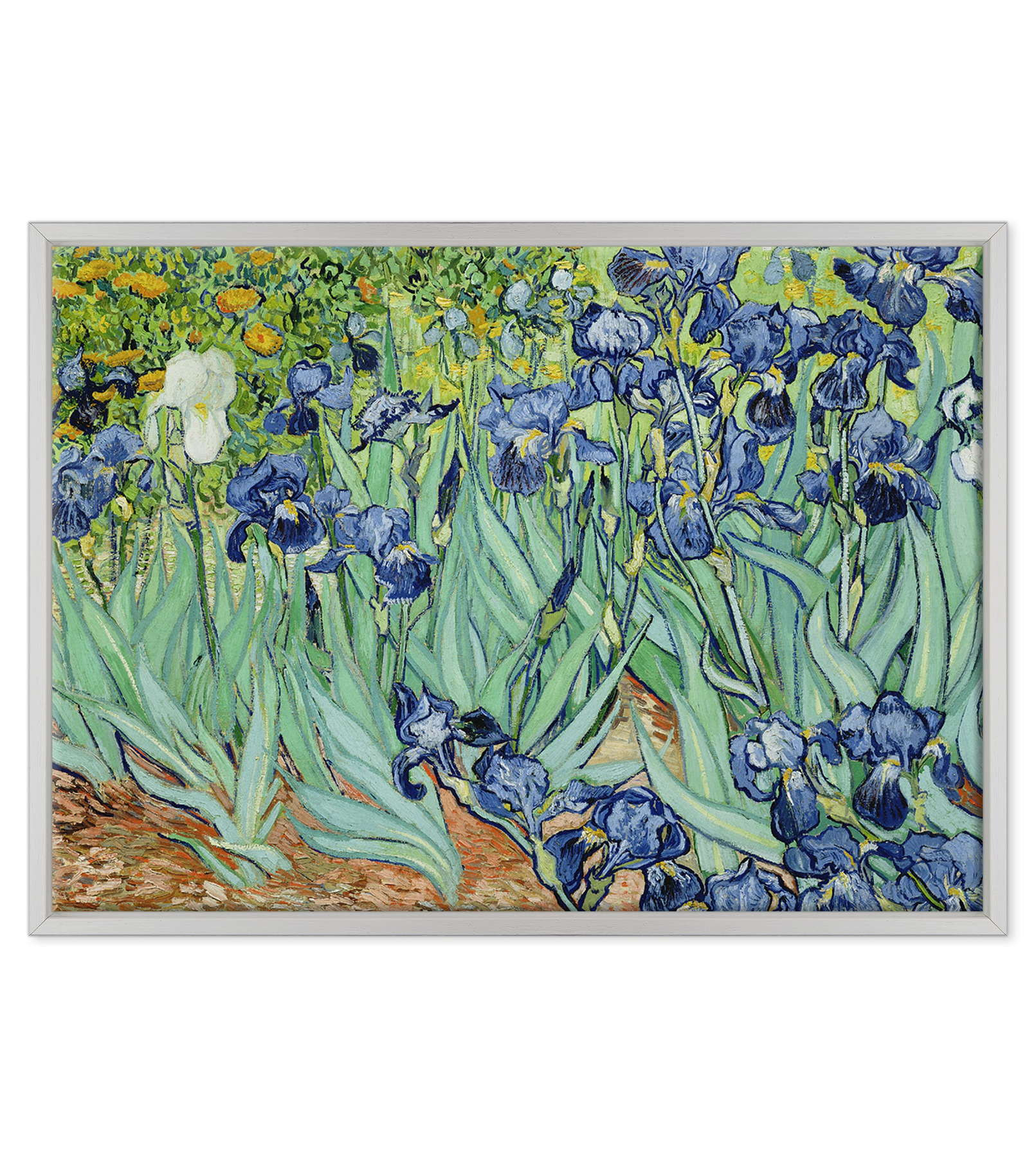Van Gogh - Iris