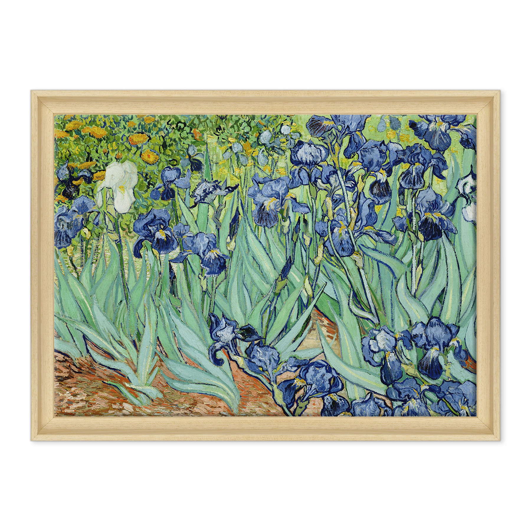 Van Gogh - Iris
