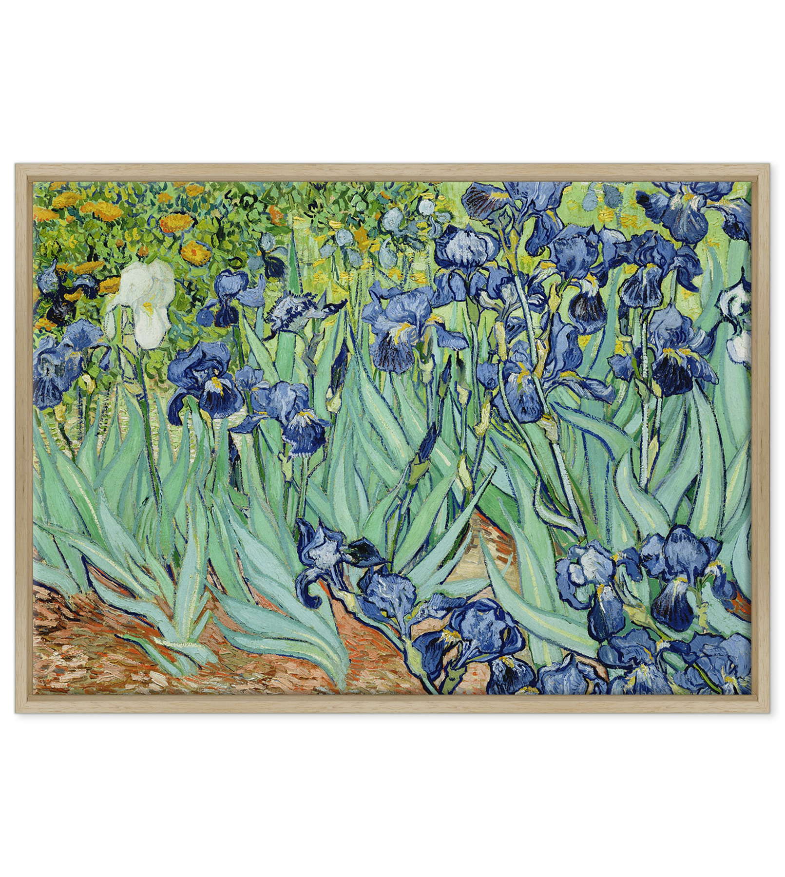 Van Gogh - Iris
