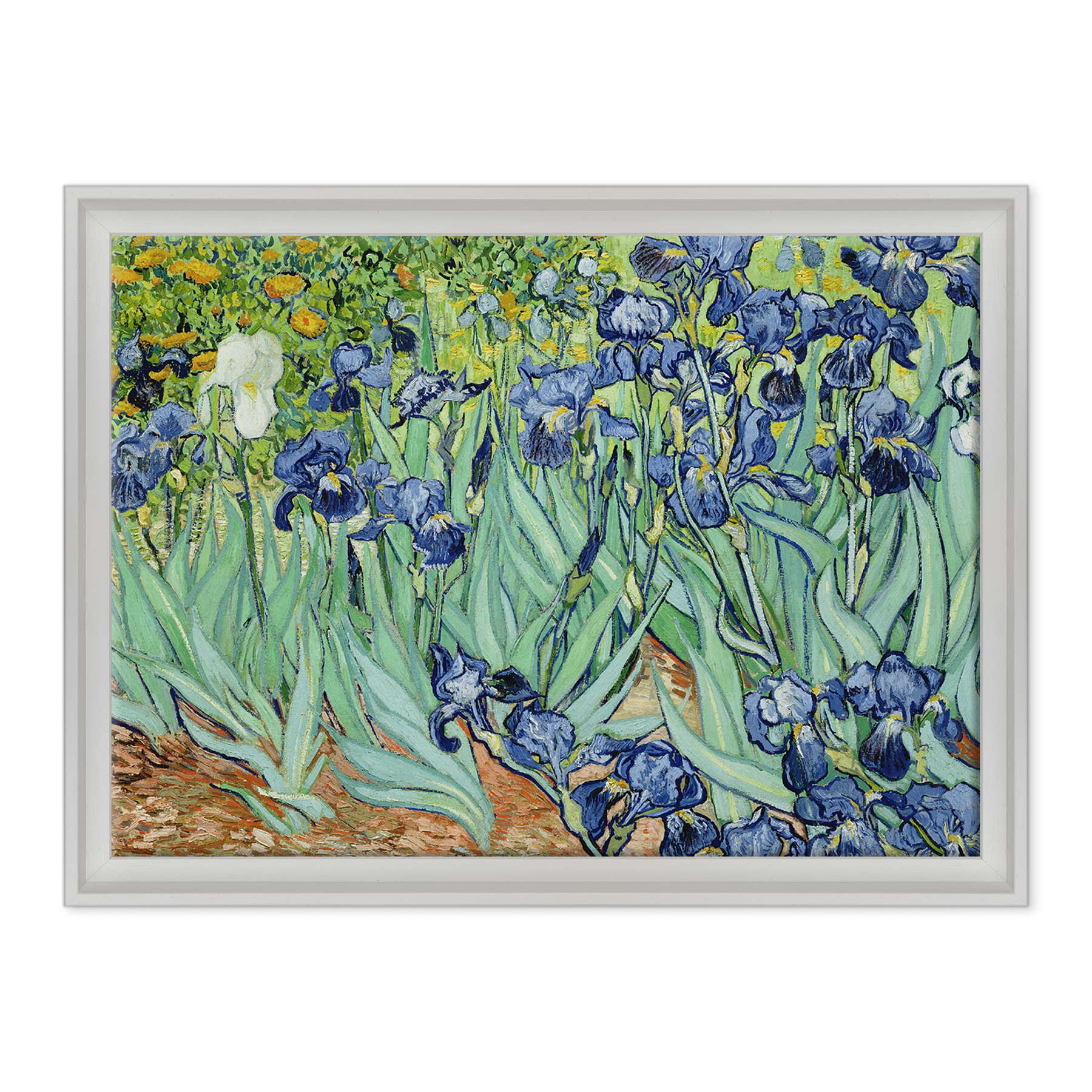 Van Gogh - Iris