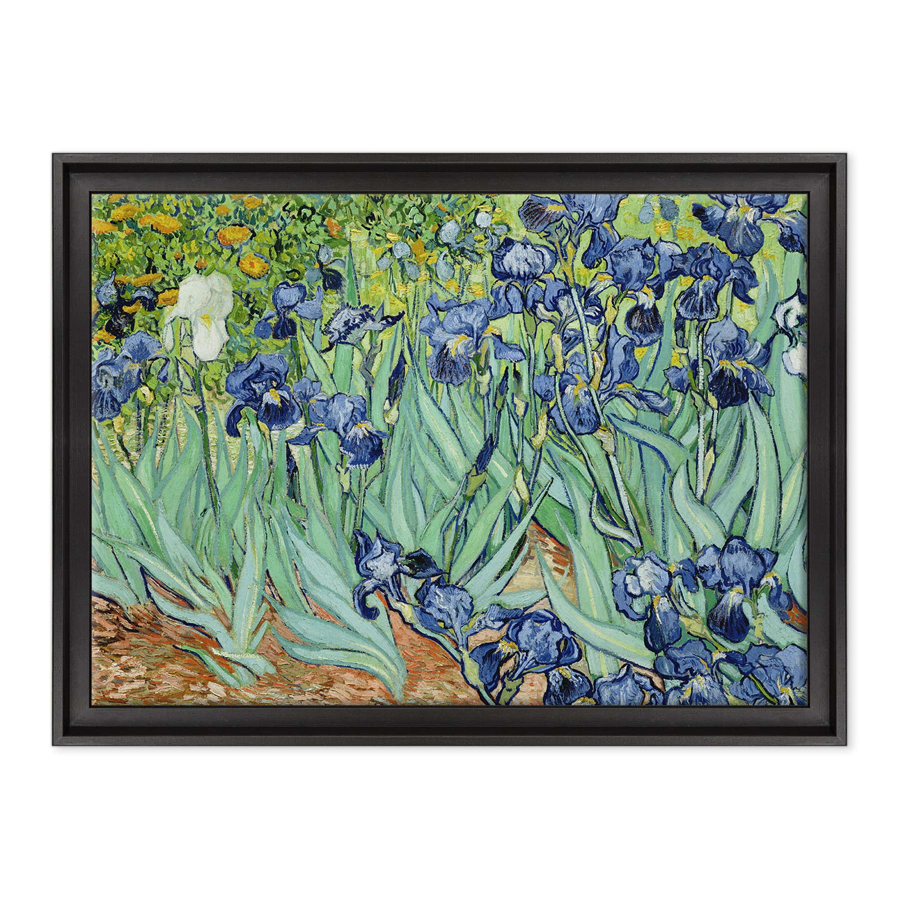 Van Gogh - Iris