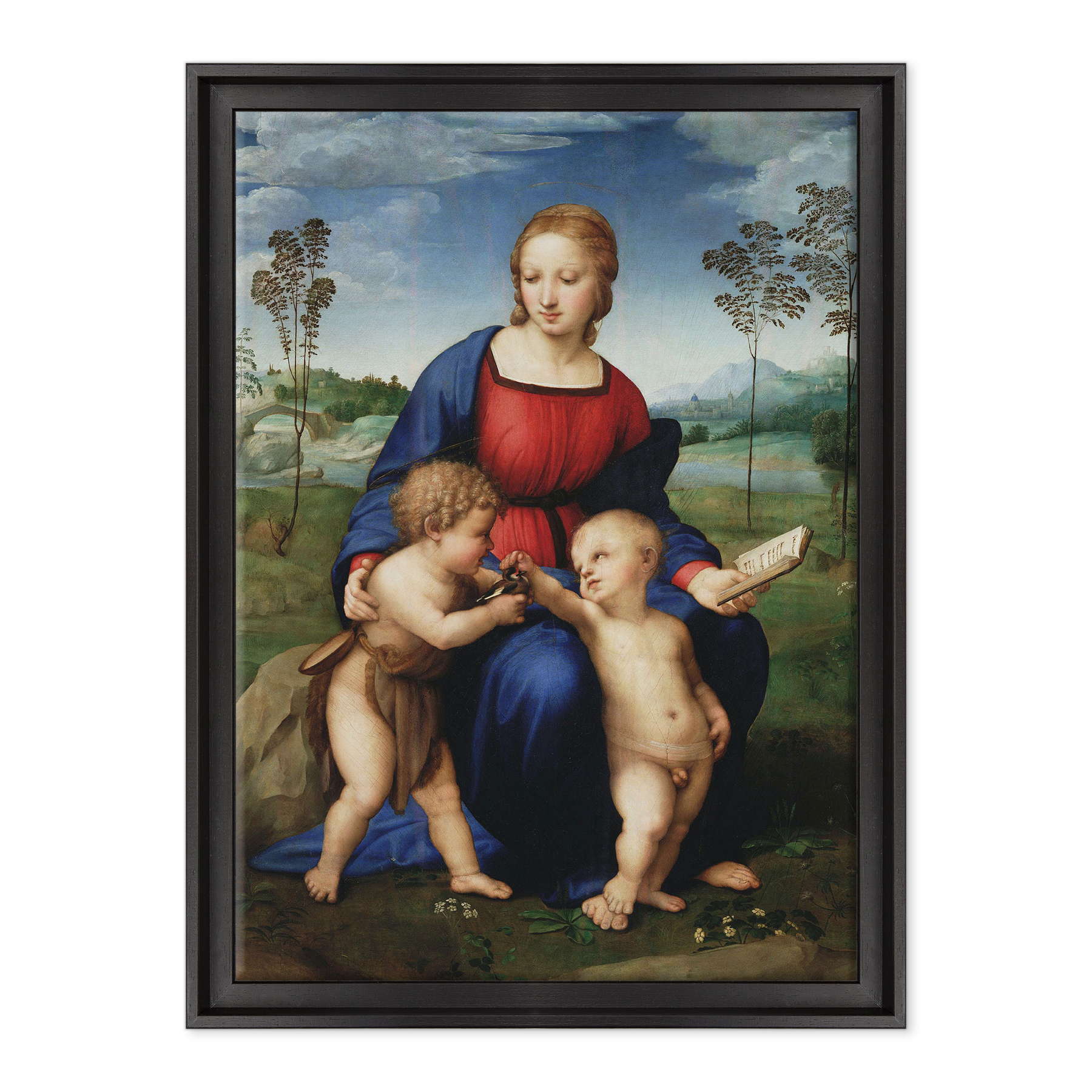 Raffaello Sanzio - Madonna del Cardellino