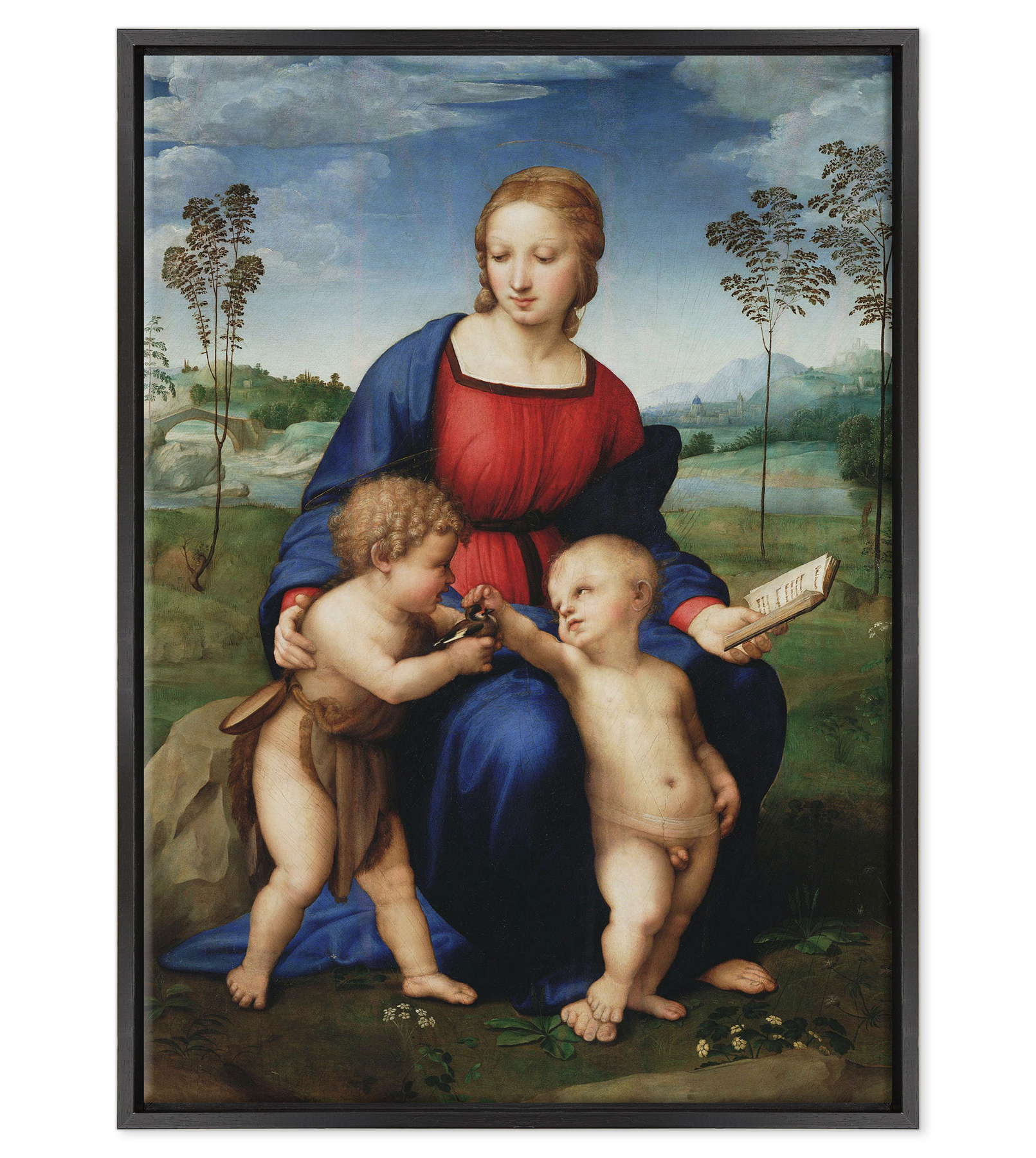Raffaello Sanzio - Madonna del Cardellino