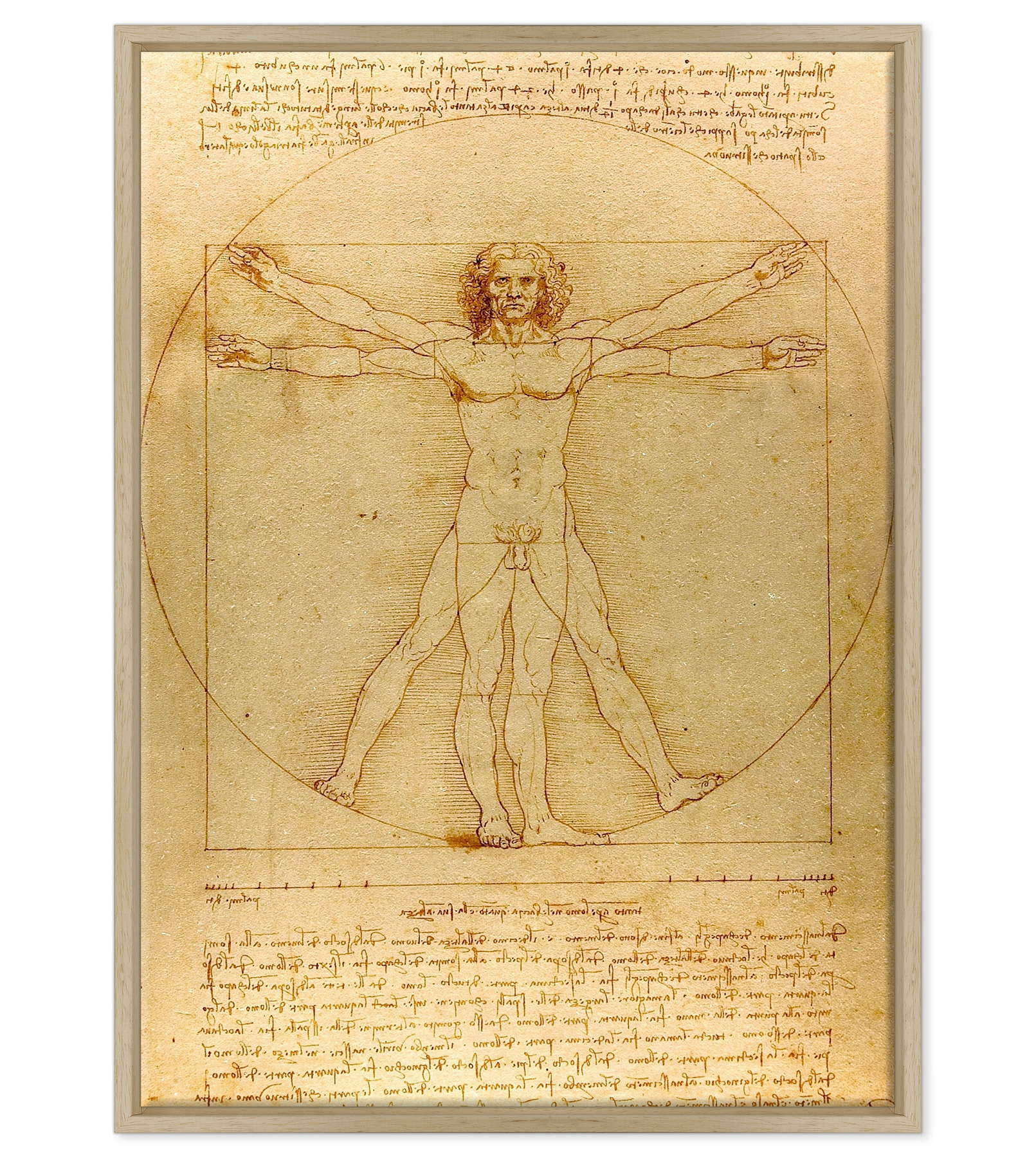 Leonardo Da Vinci - L'Uomo vitruviano
