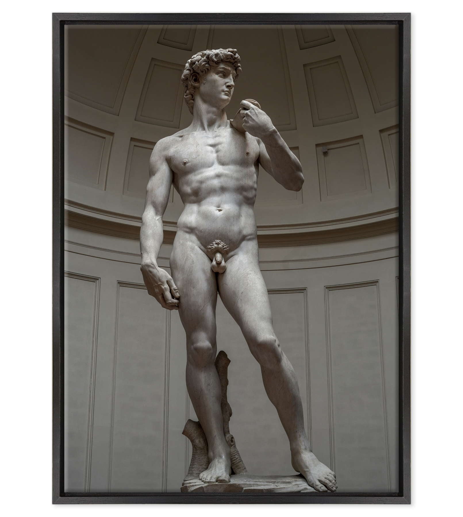 Michelangelo - David