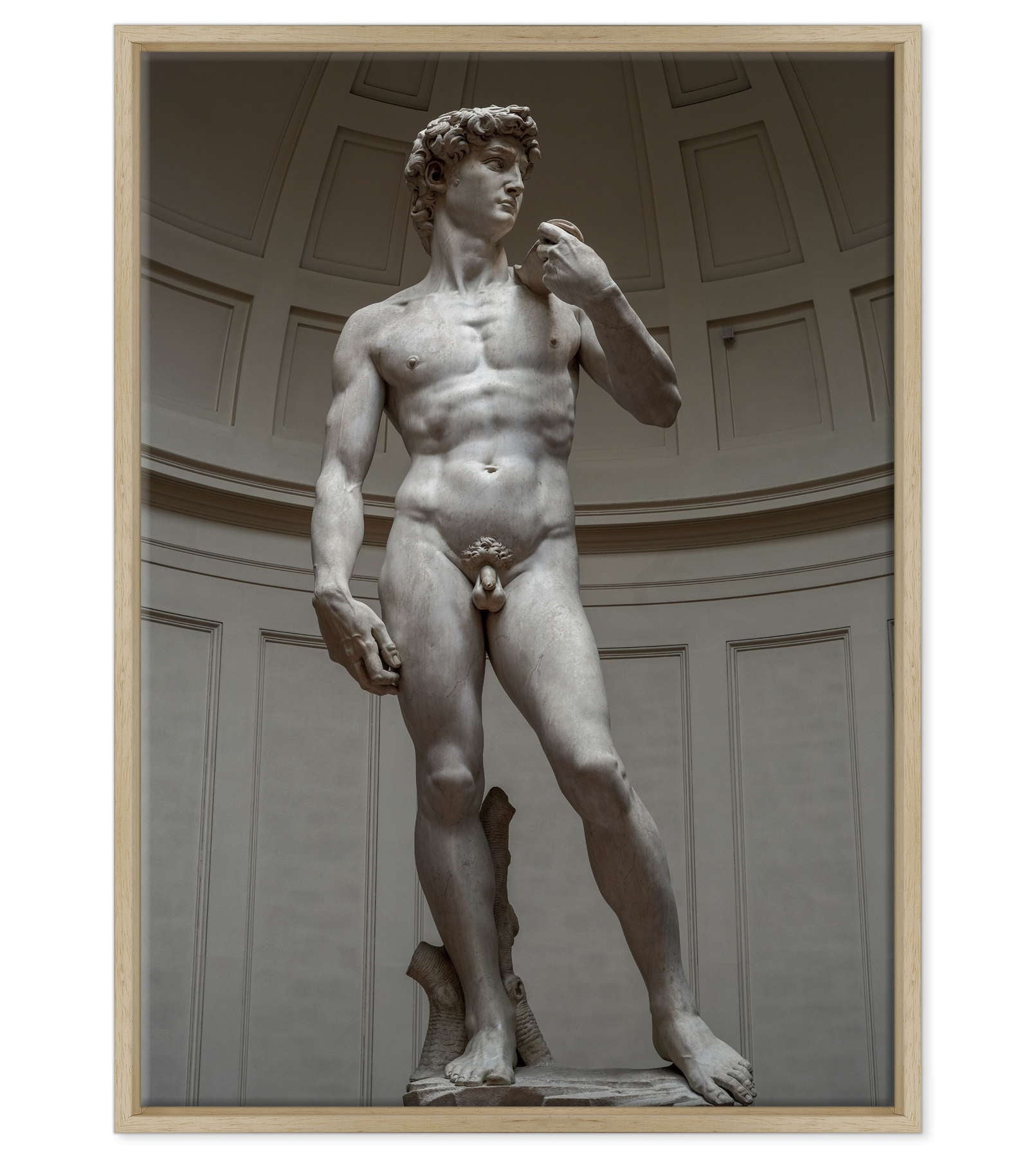 Michelangelo - David