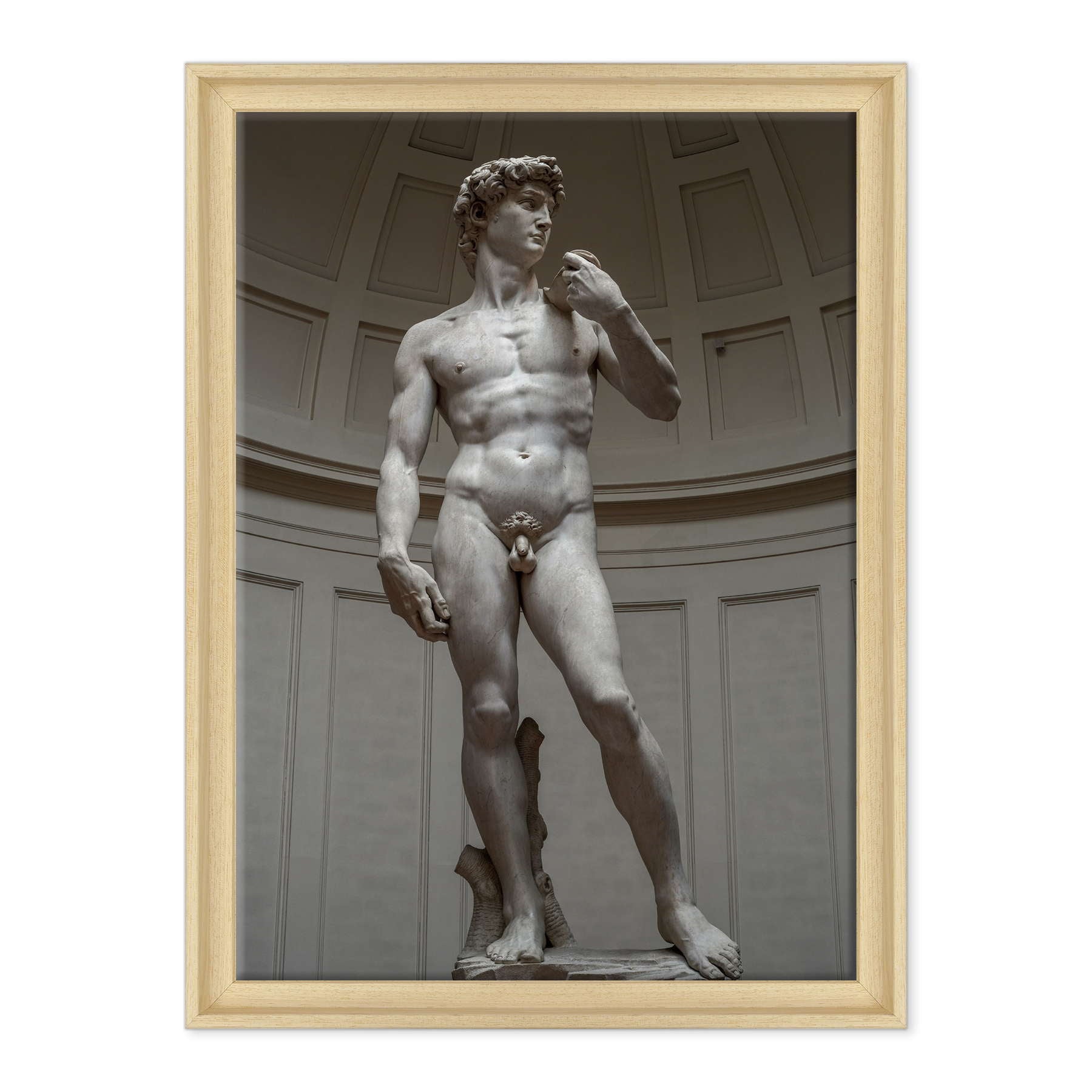 Michelangelo - David