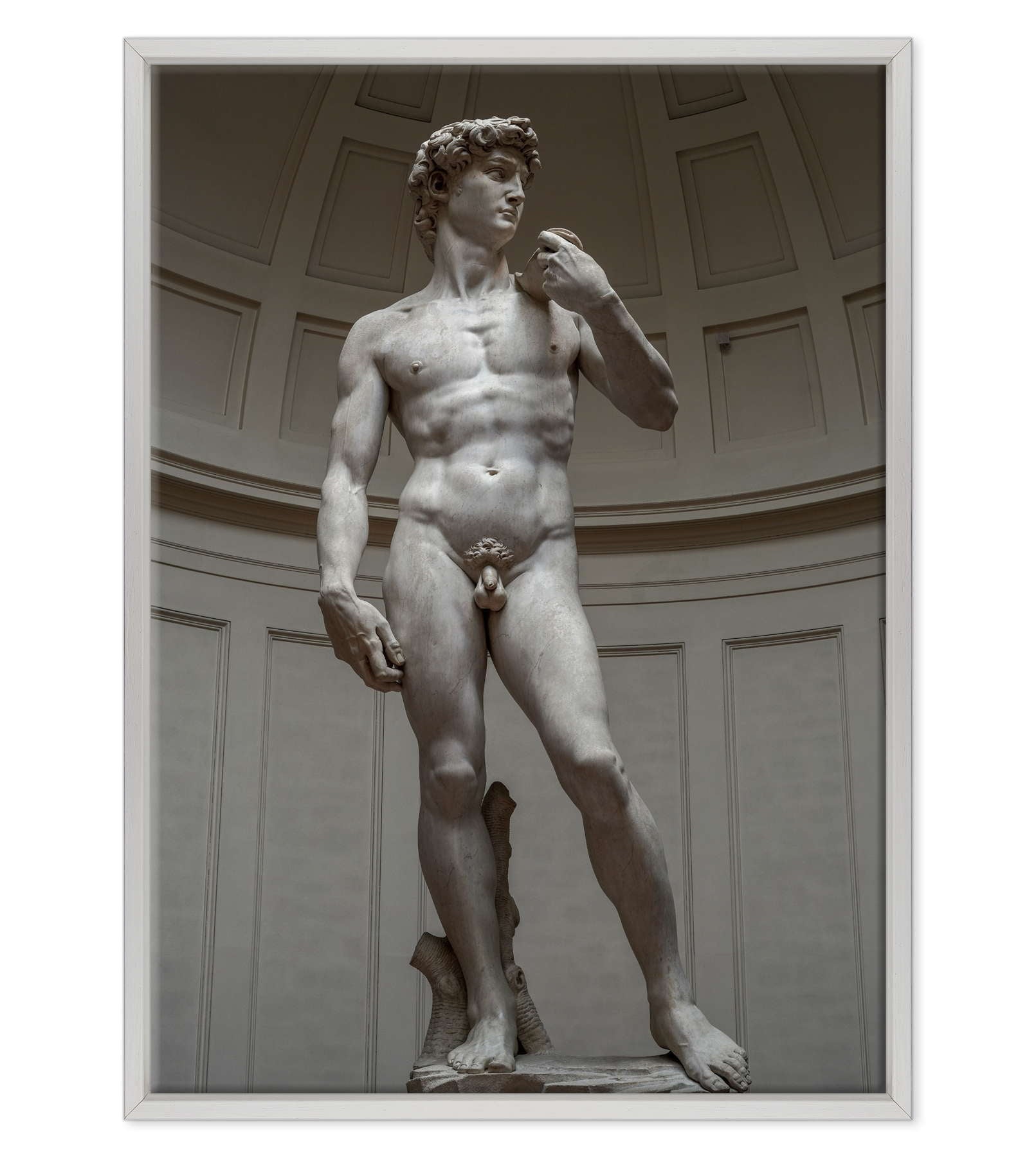 Michelangelo - David