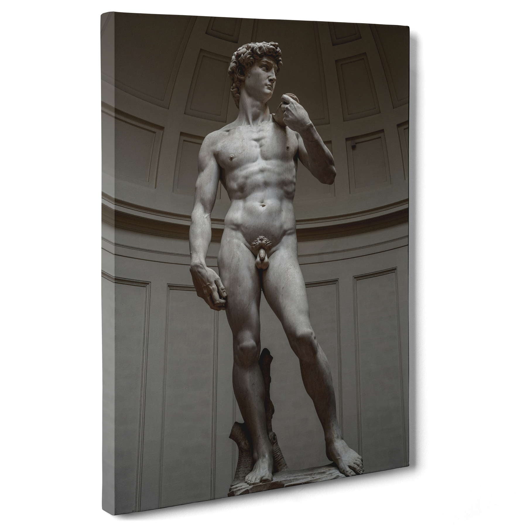 Michelangelo - David
