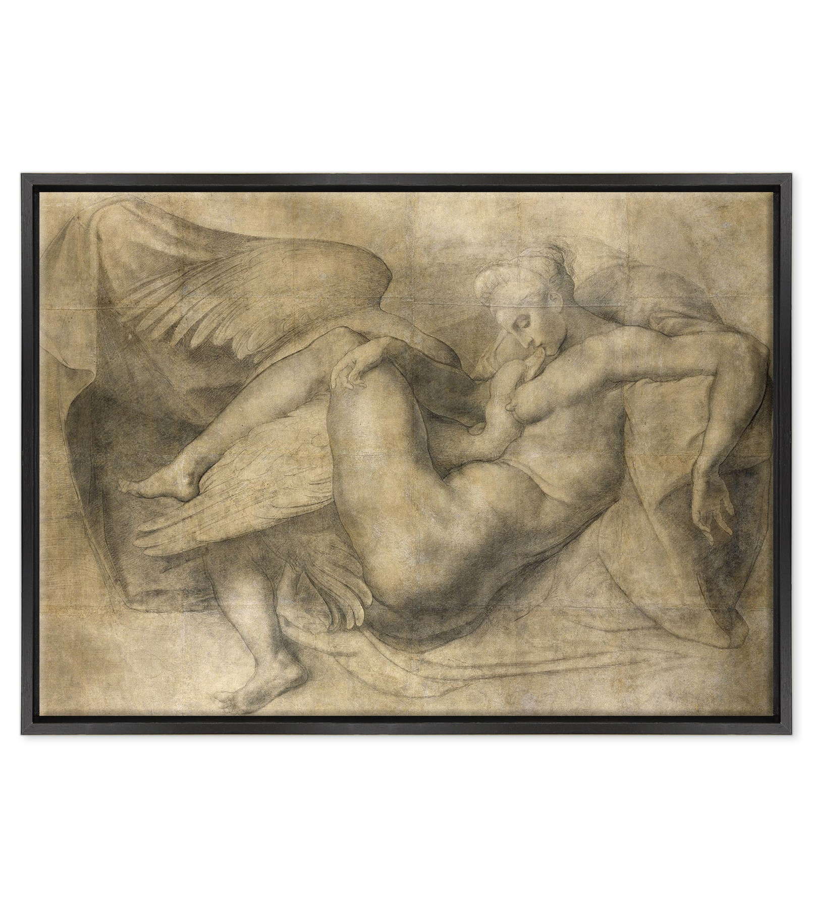 Michelangelo - Leda e il cigno
