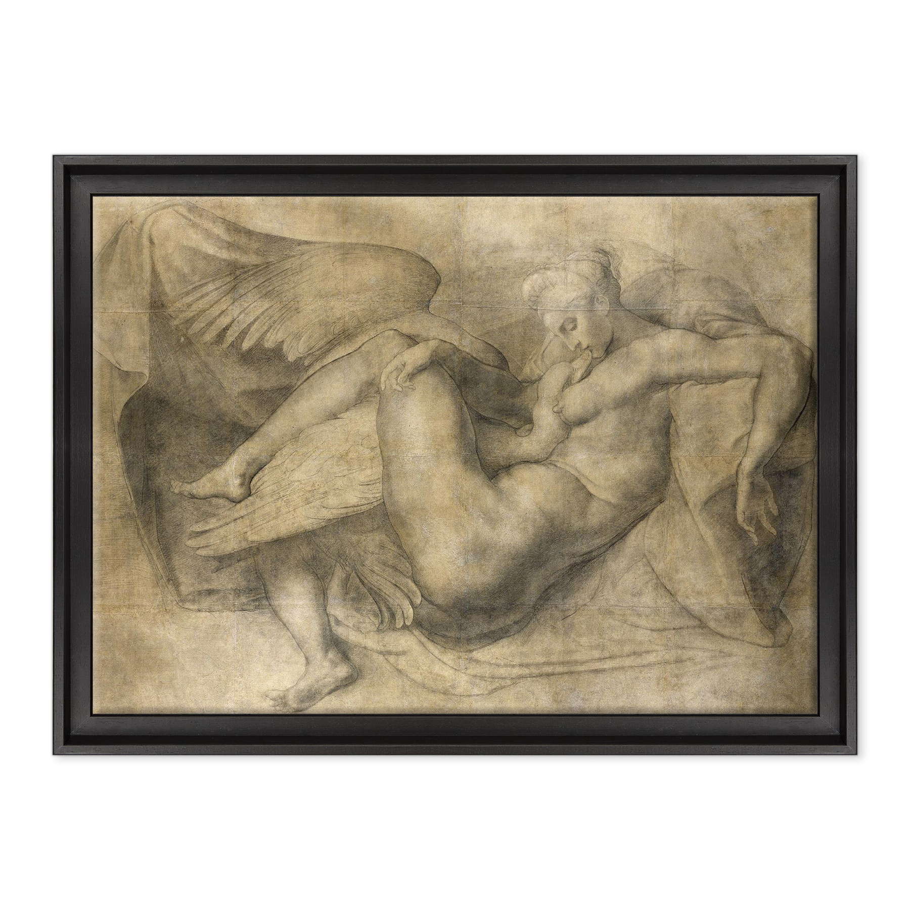 Michelangelo - Leda e il cigno
