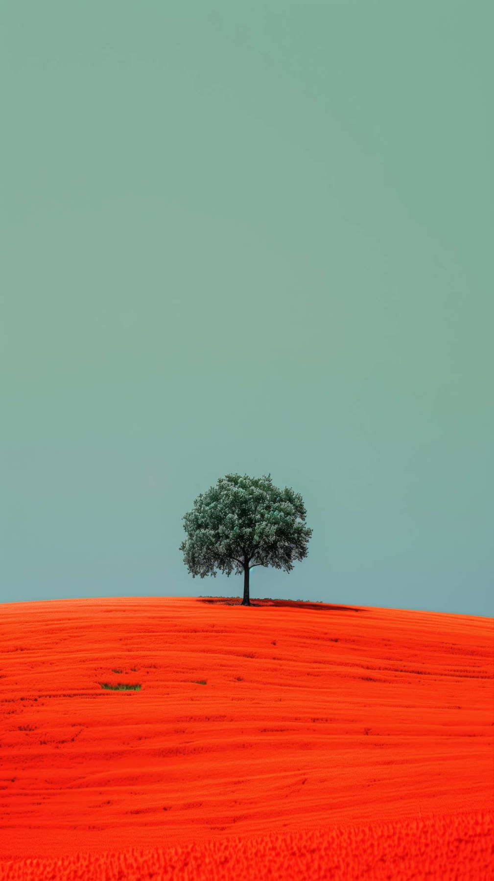 Armonia Contrastante