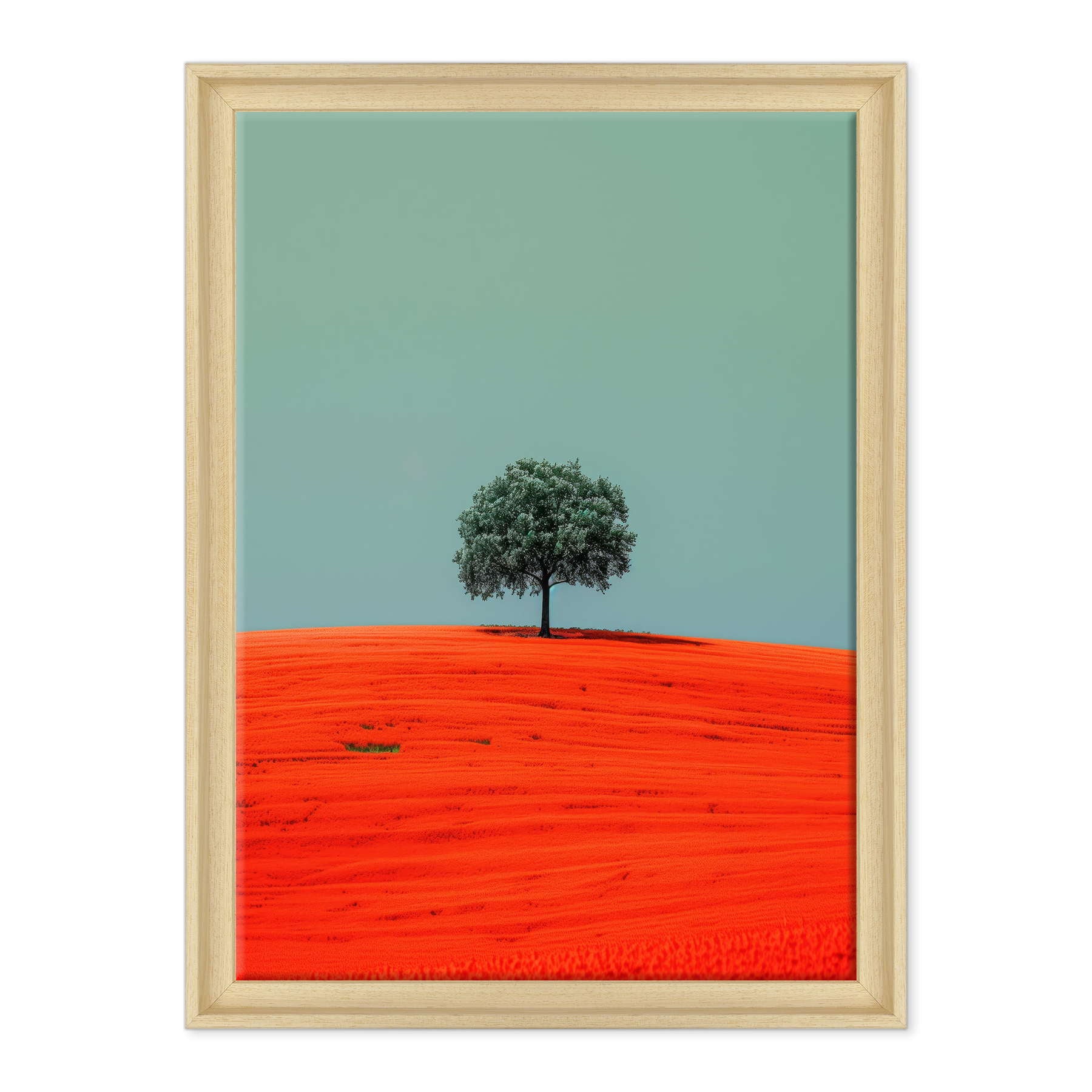 Armonia Contrastante