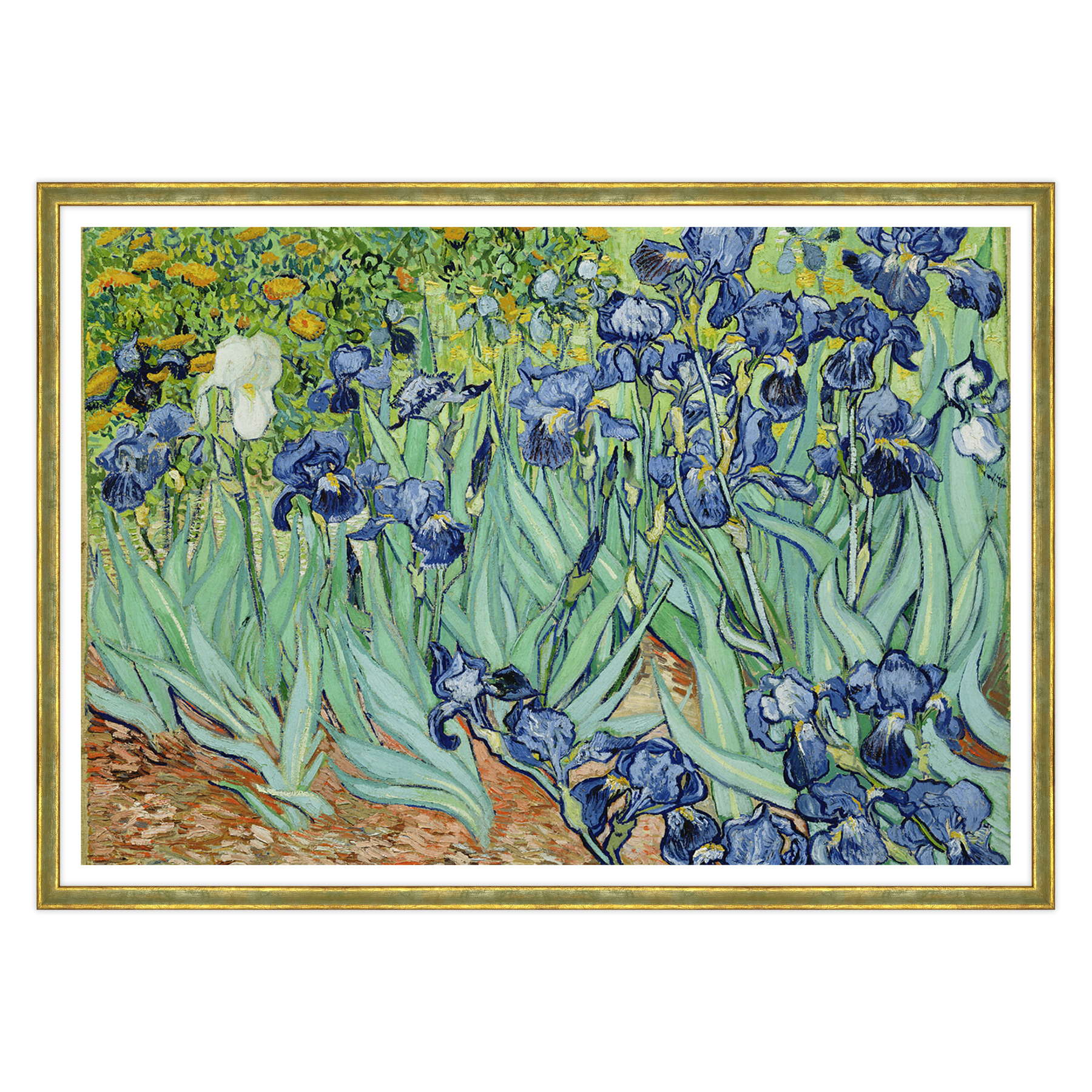 Van Gogh - Iris
