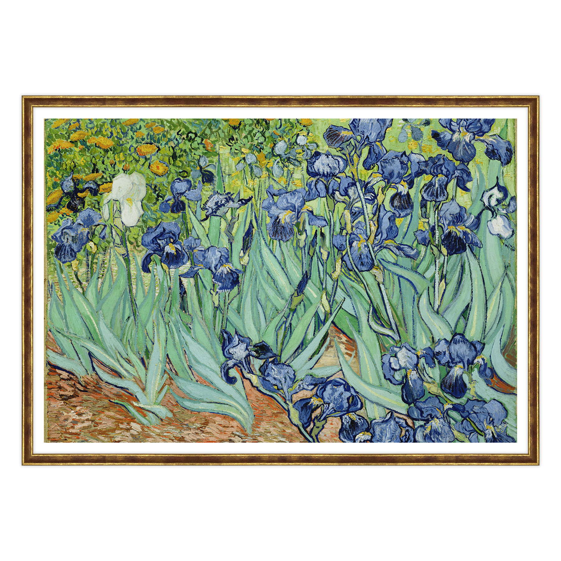 Van Gogh - Iris