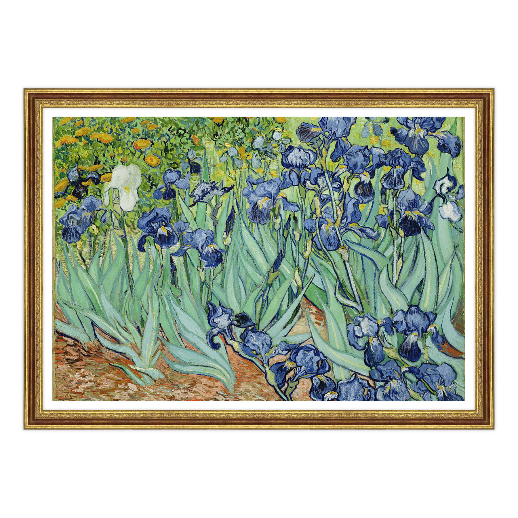 Van Gogh - Iris