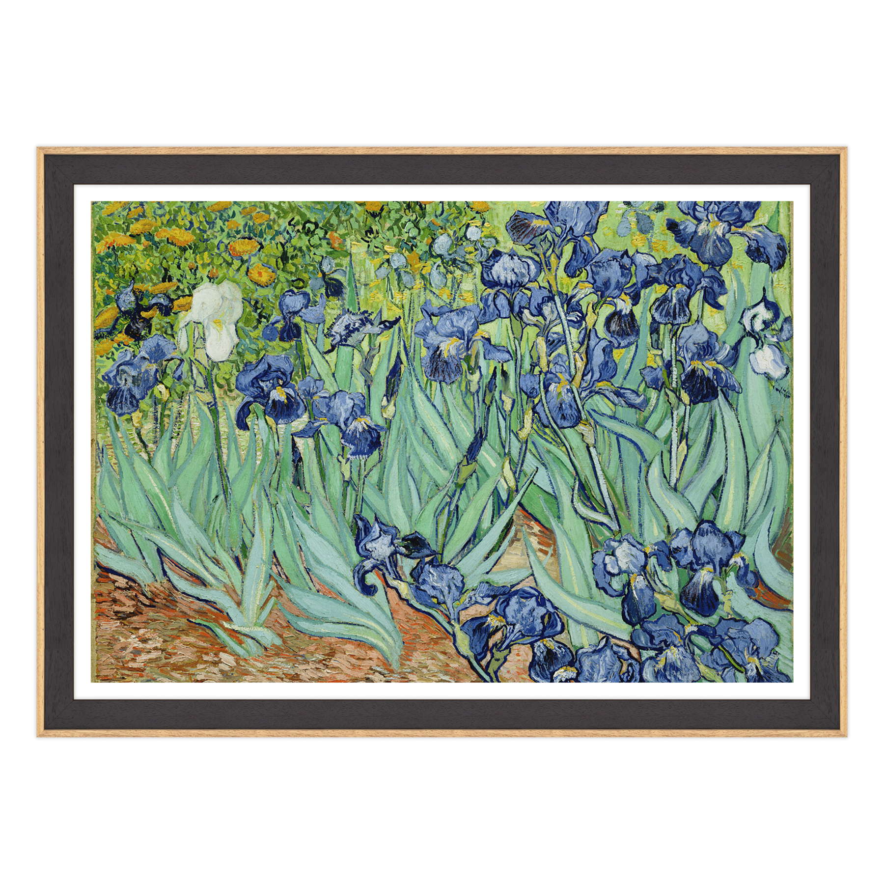 Van Gogh - Iris
