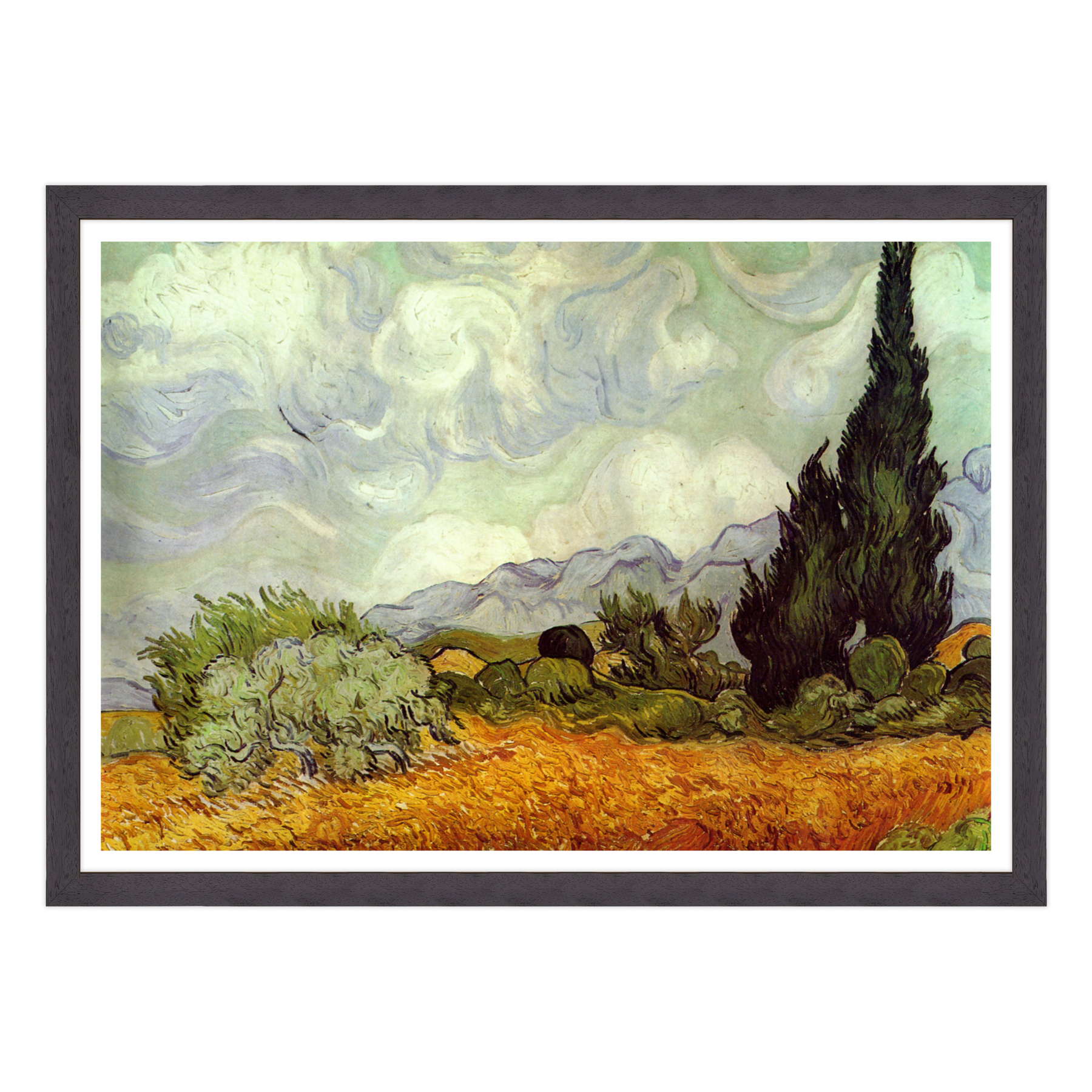 Van Gogh - Cipressi