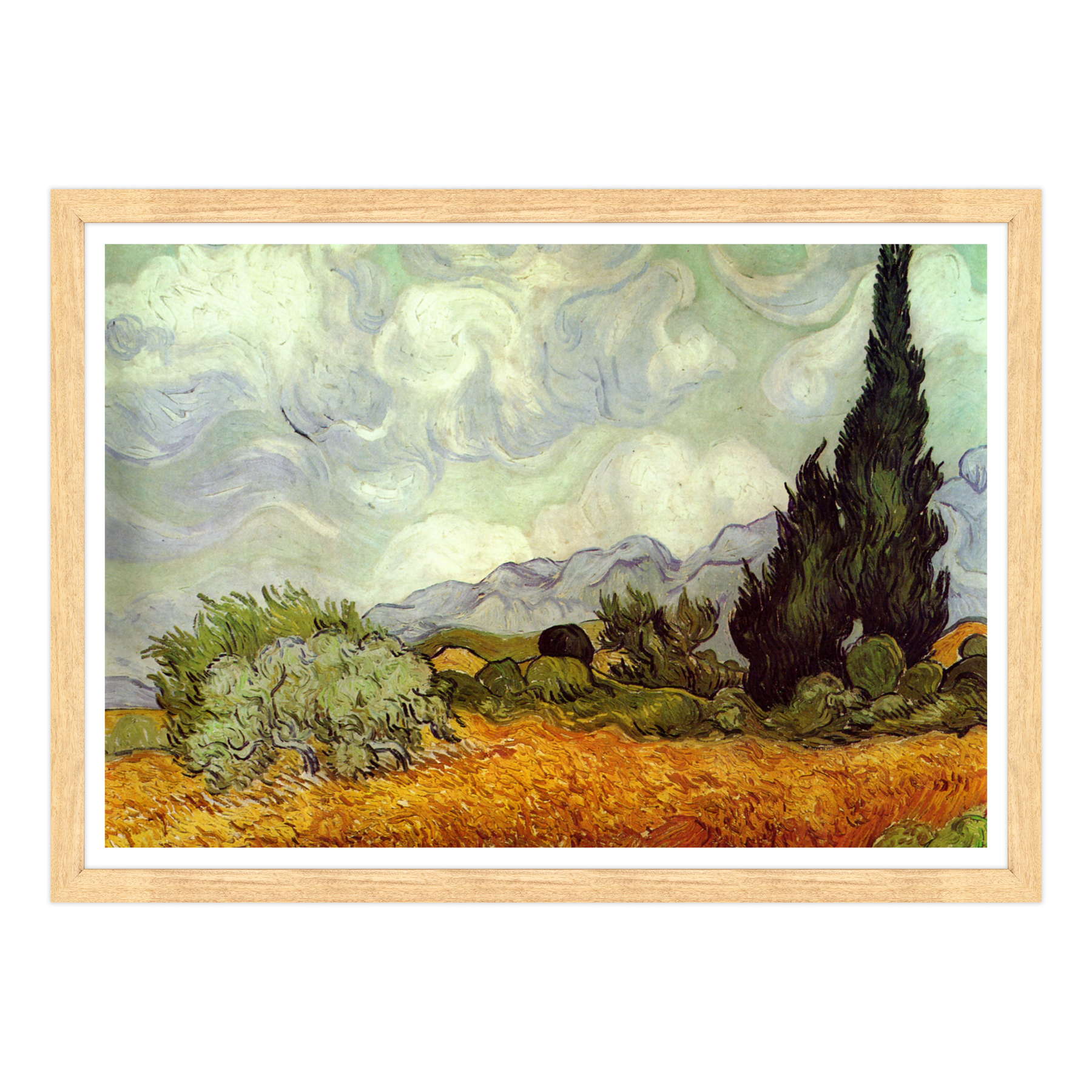 Van Gogh - Cipressi