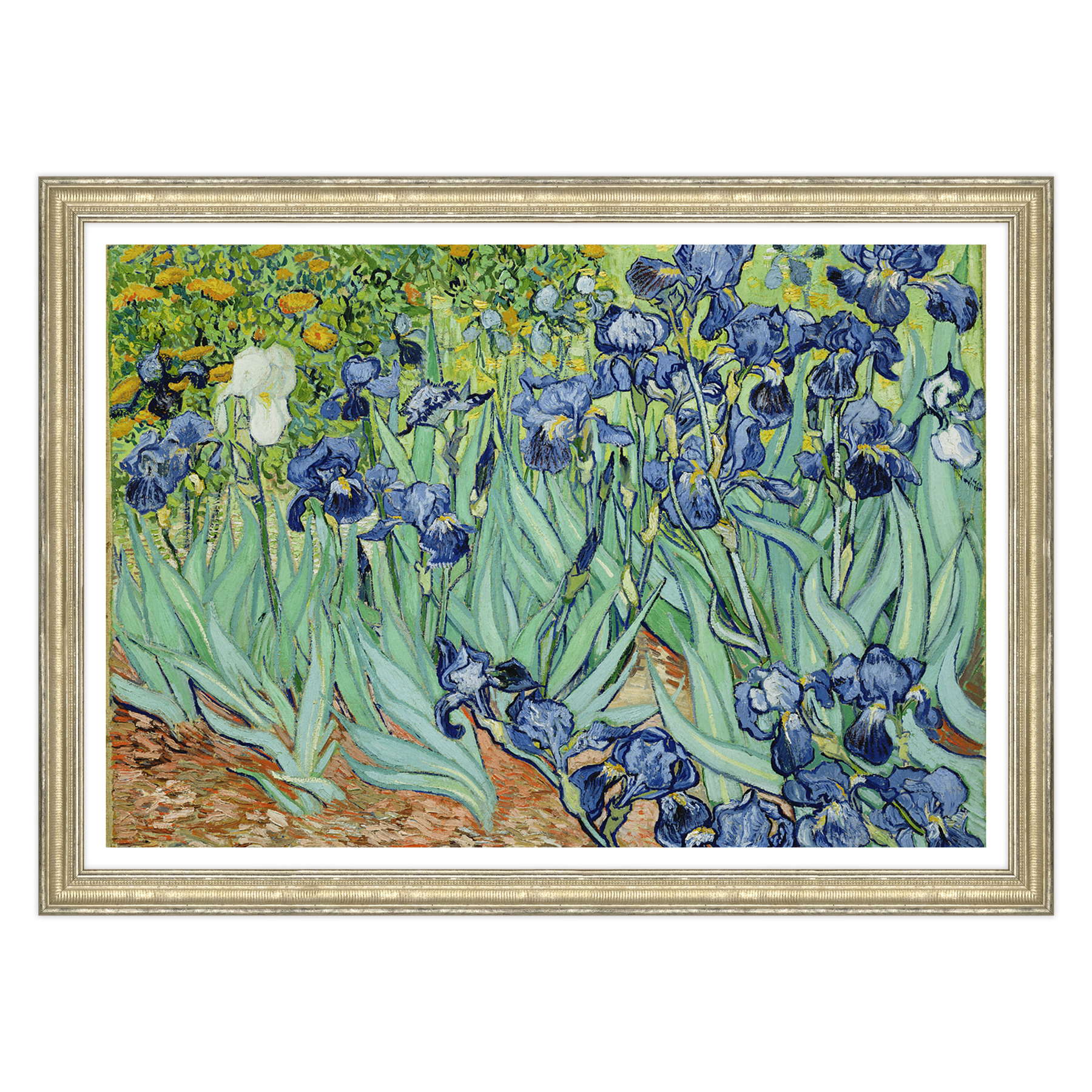Van Gogh - Iris