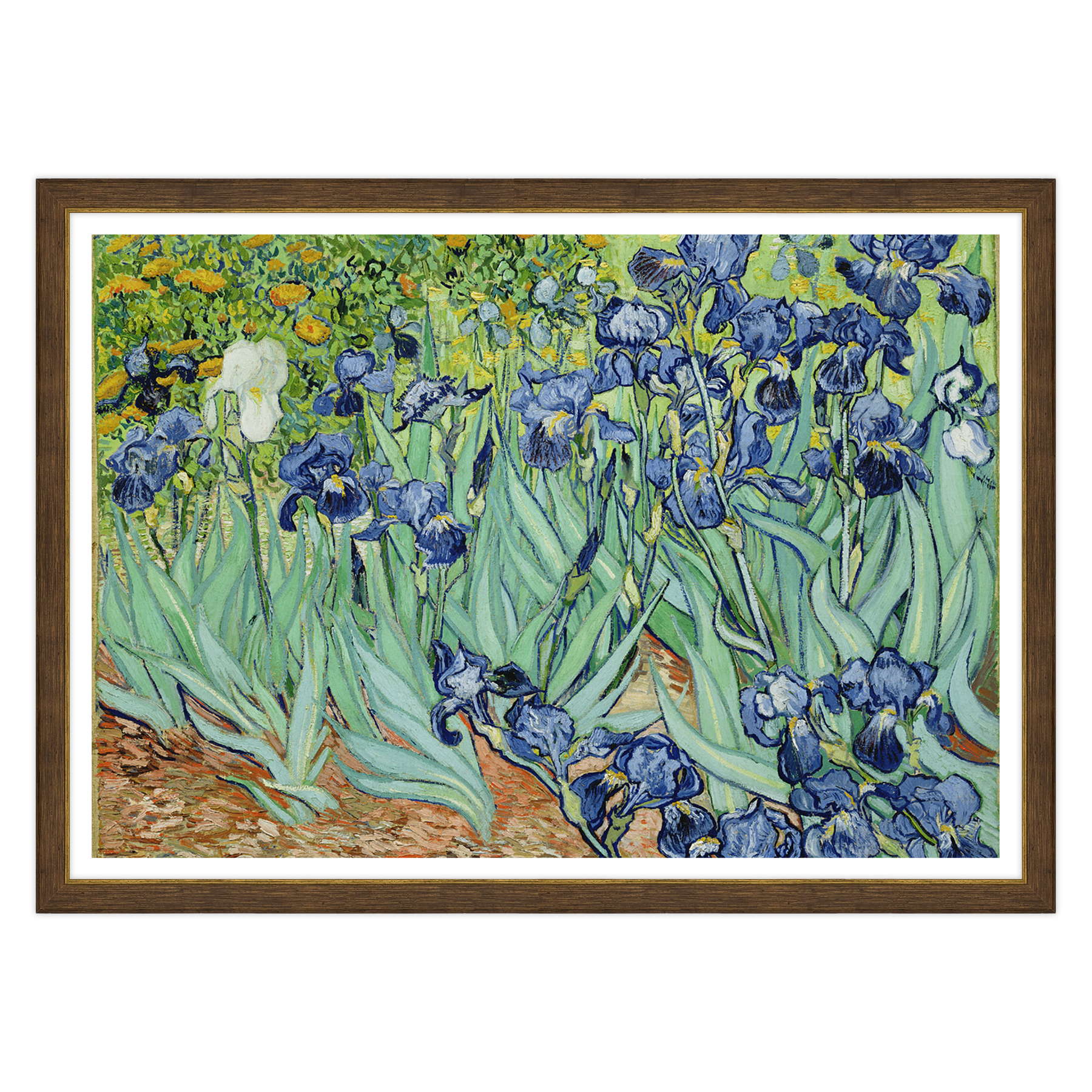 Van Gogh - Iris