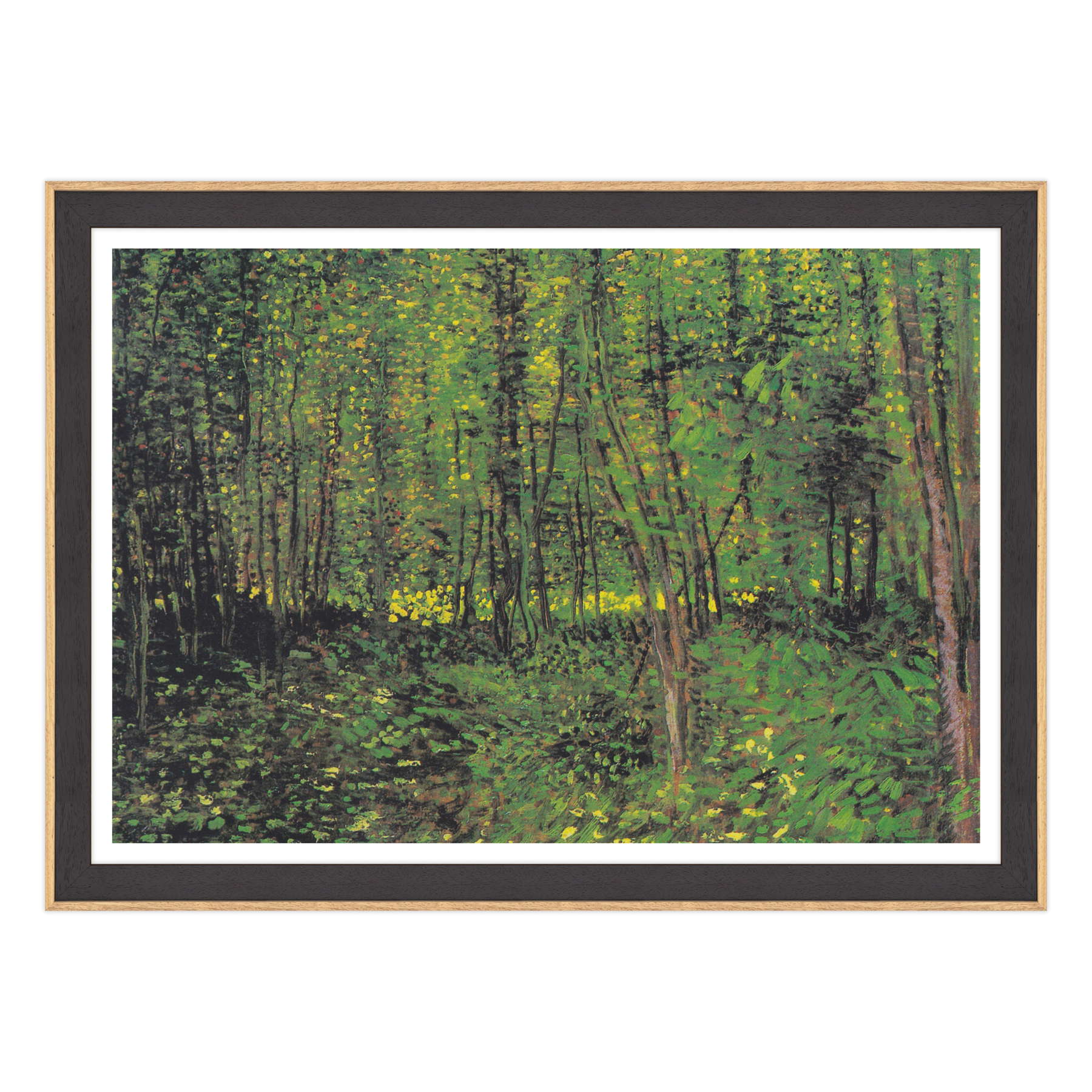 Van Gogh - Alberi e sottobosco