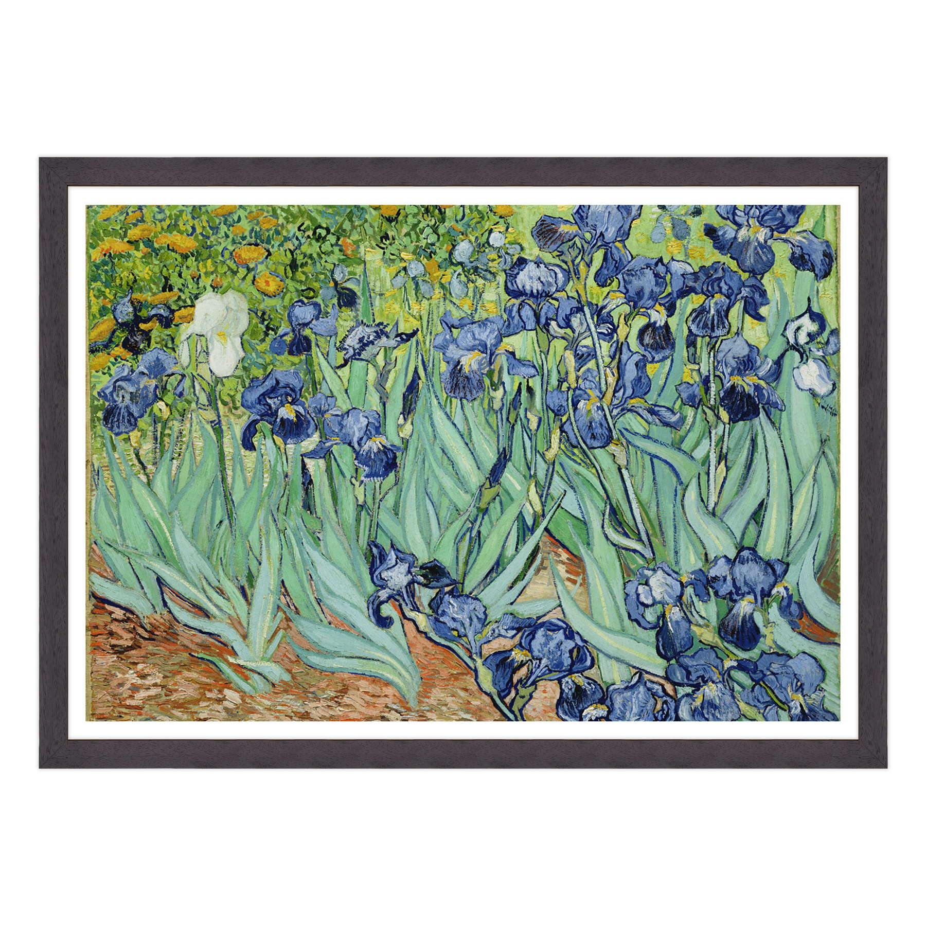 Van Gogh - Iris