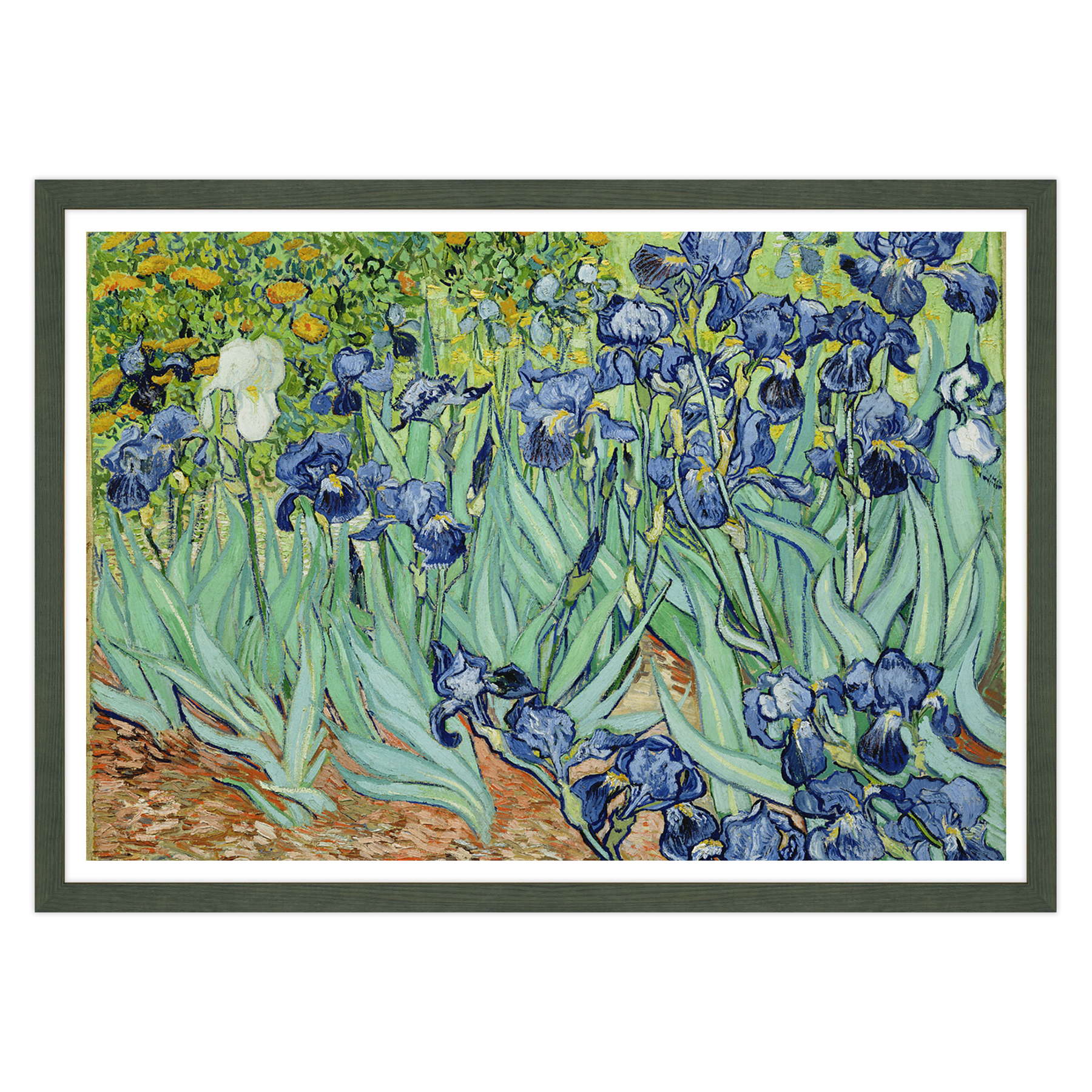 Van Gogh - Iris