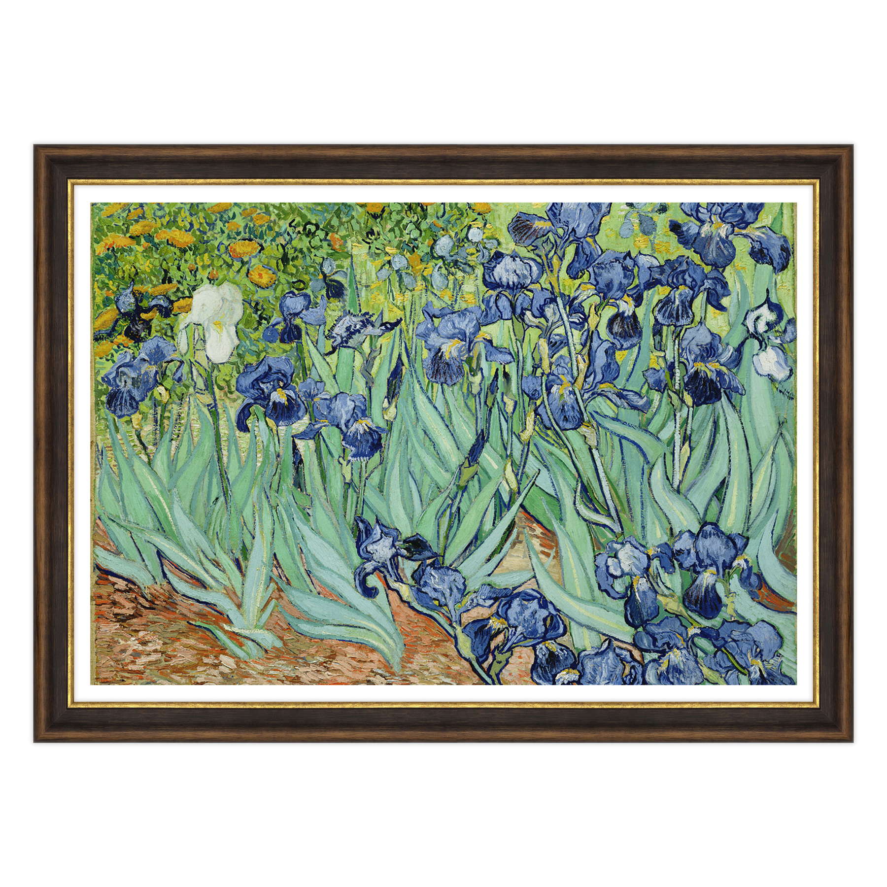 Van Gogh - Iris