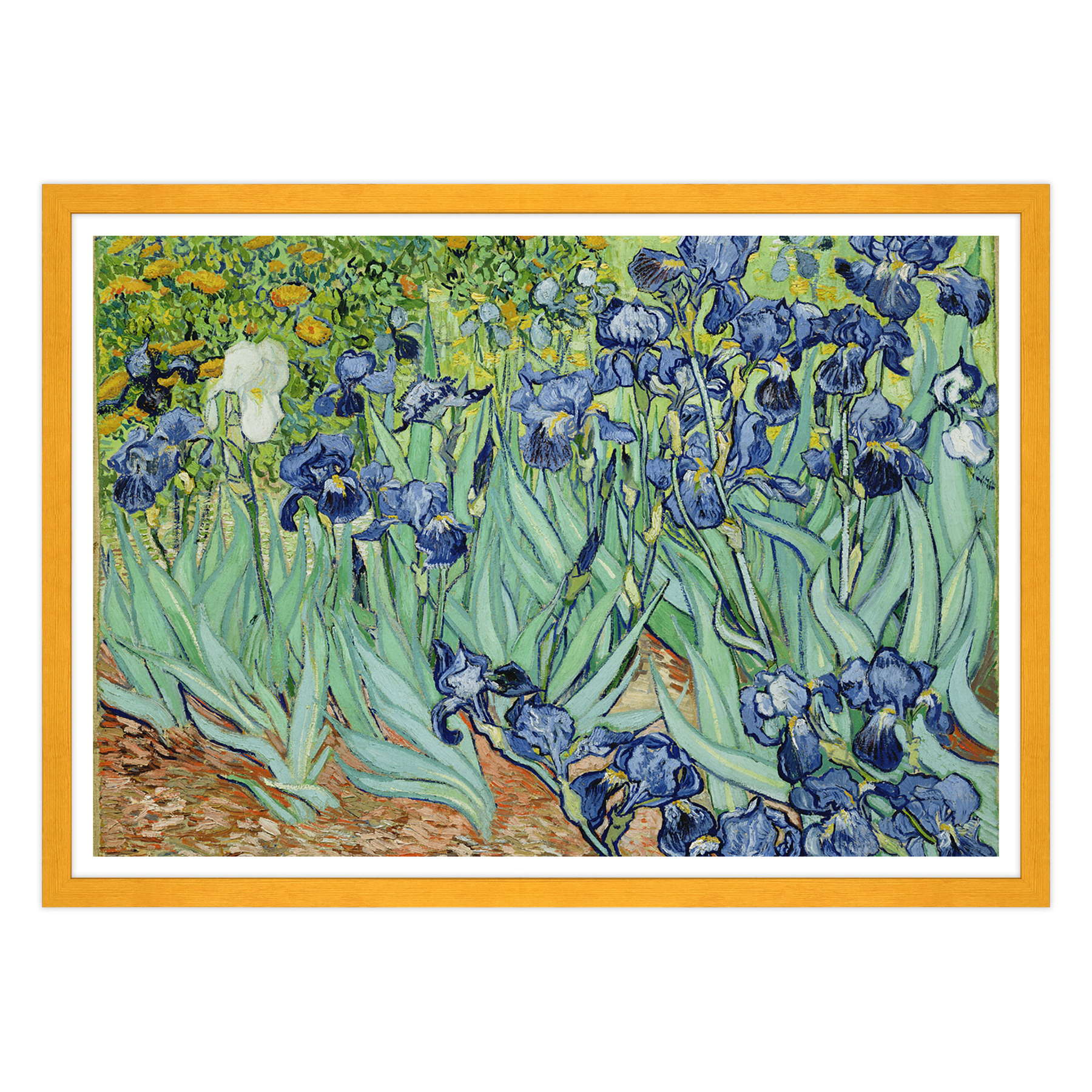 Van Gogh - Iris