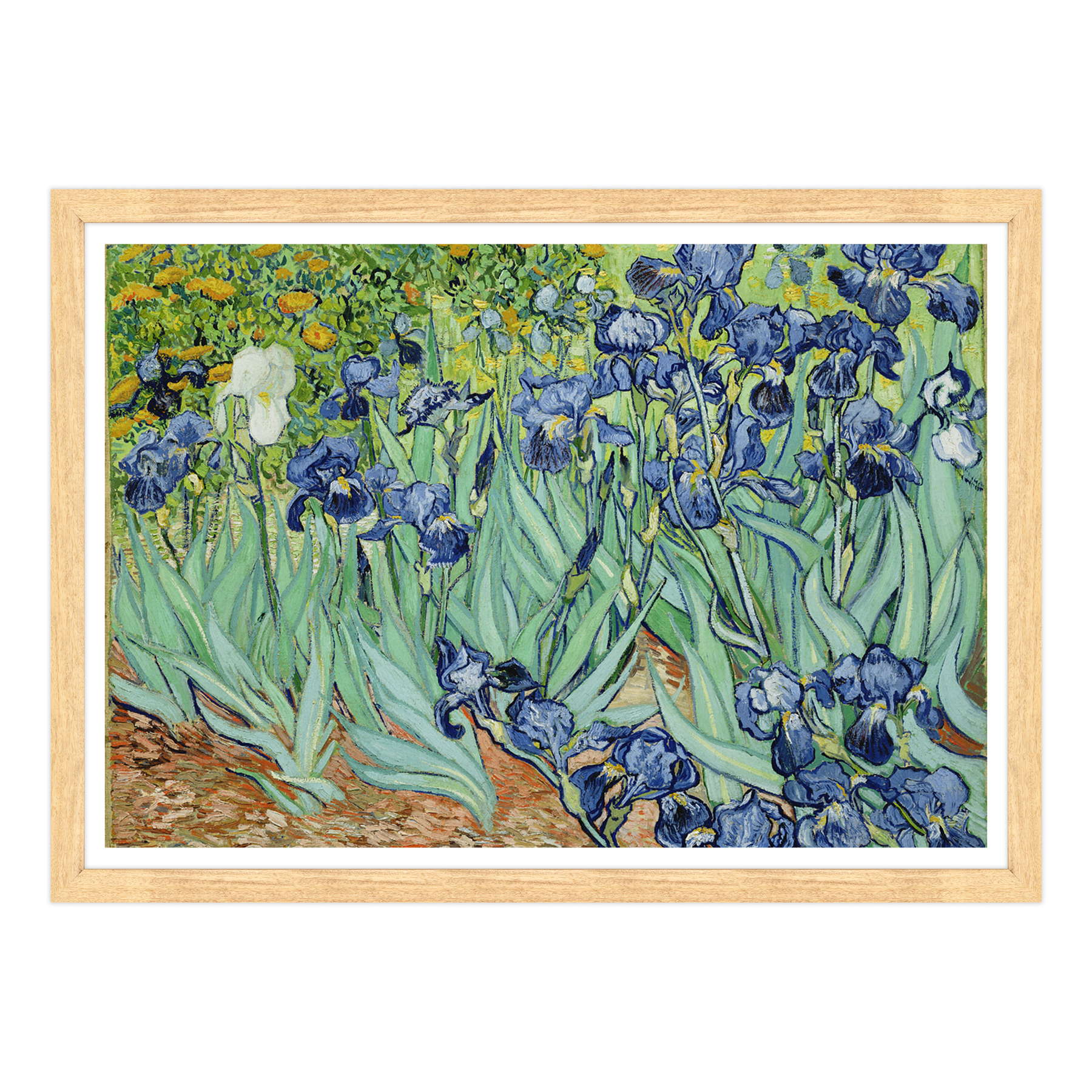 Van Gogh - Iris
