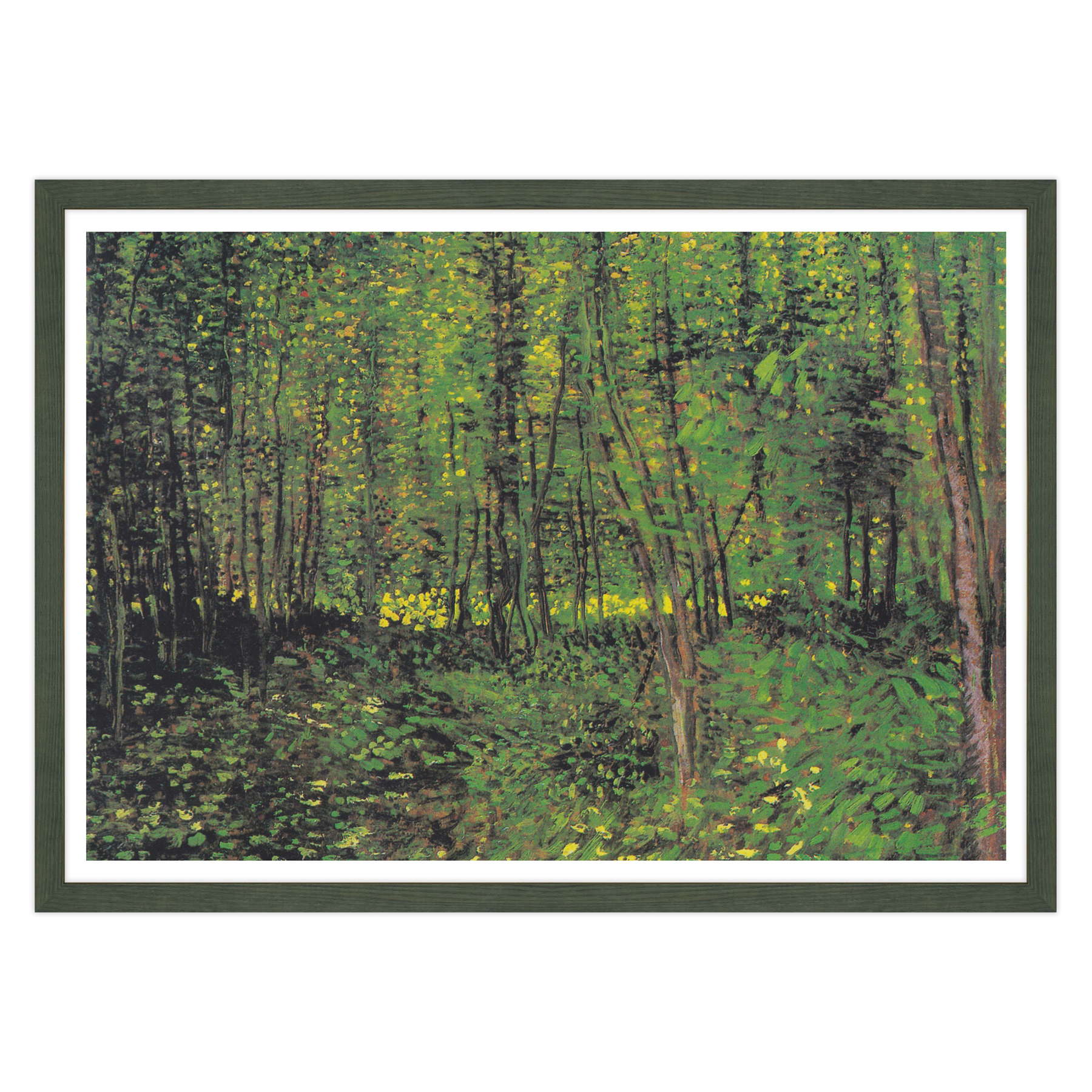 Van Gogh - Alberi e sottobosco