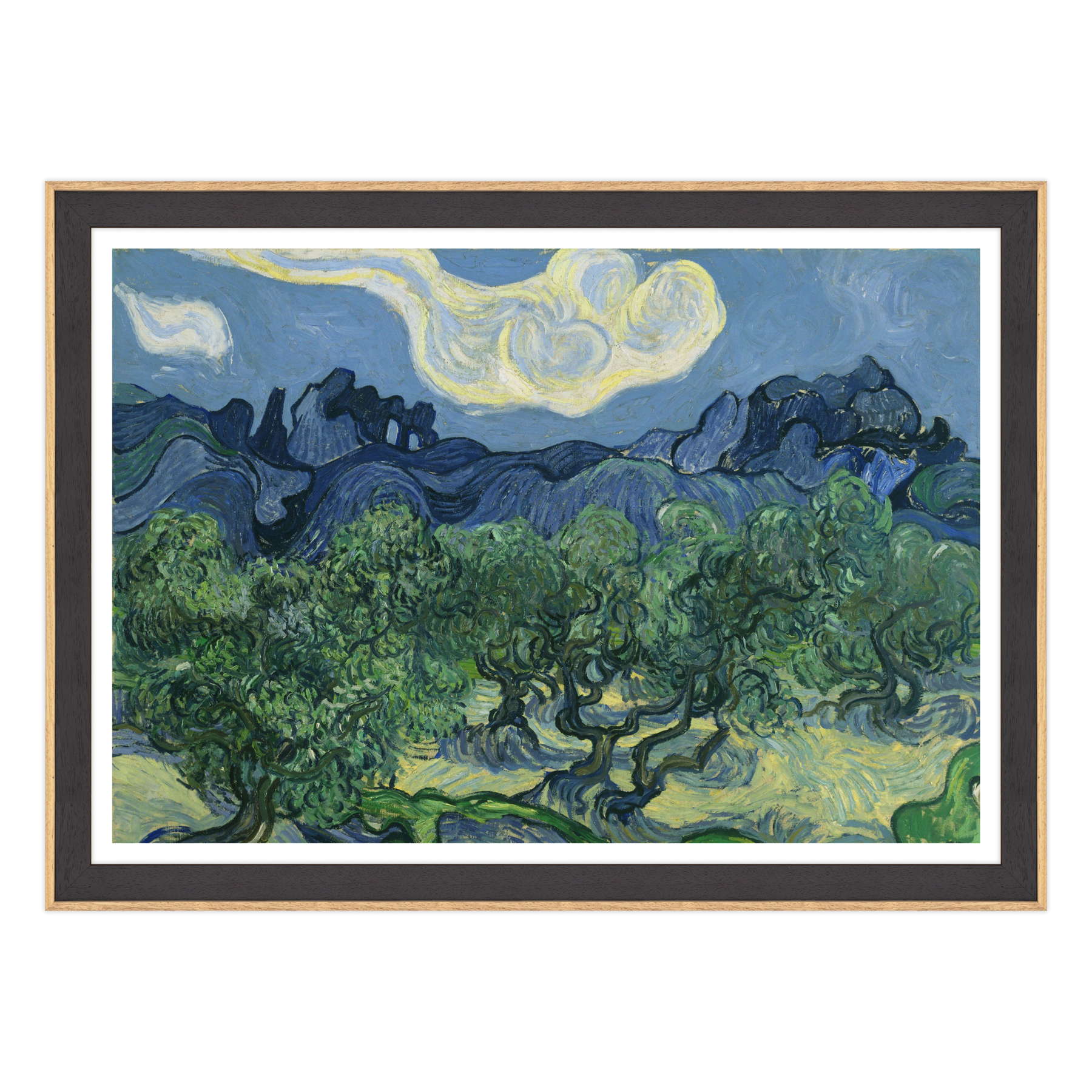 Van Gogh - Ulivi con le Alpilles sullo sfondo