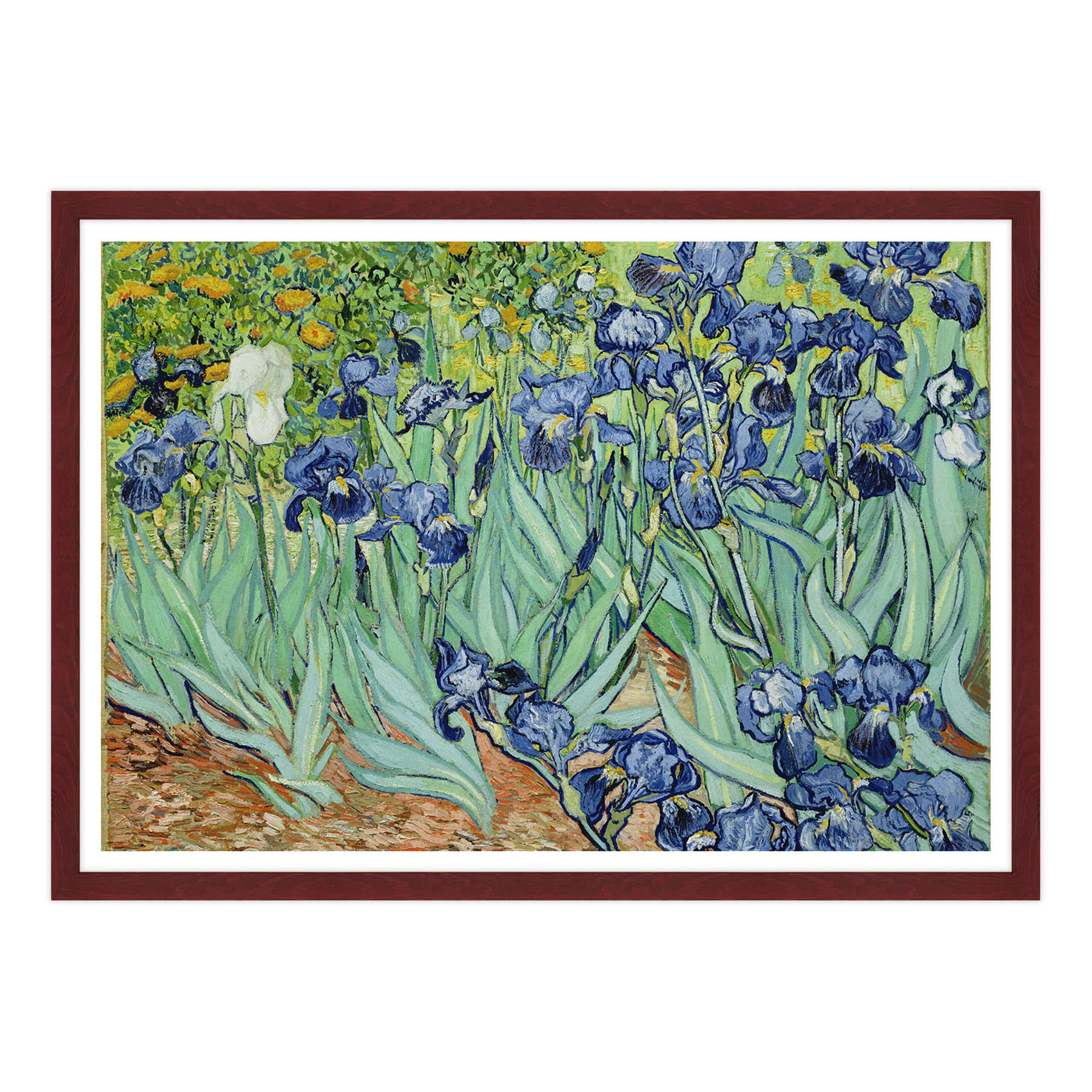 Van Gogh - Iris