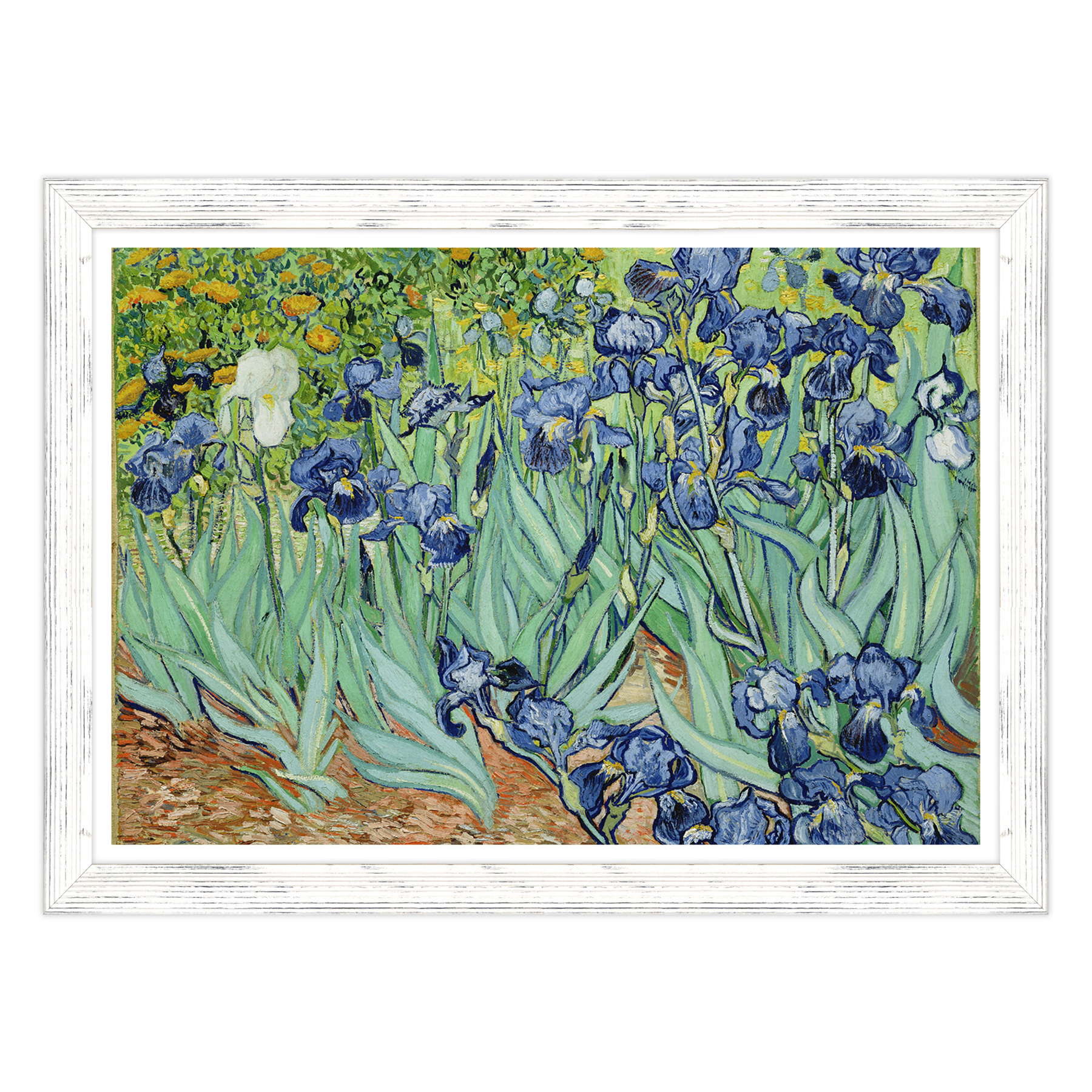 Van Gogh - Iris