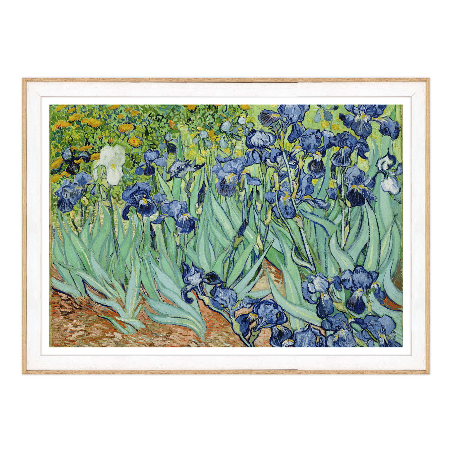 Van Gogh - Iris